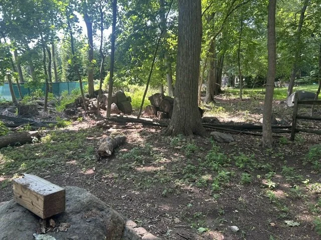 A downed fence