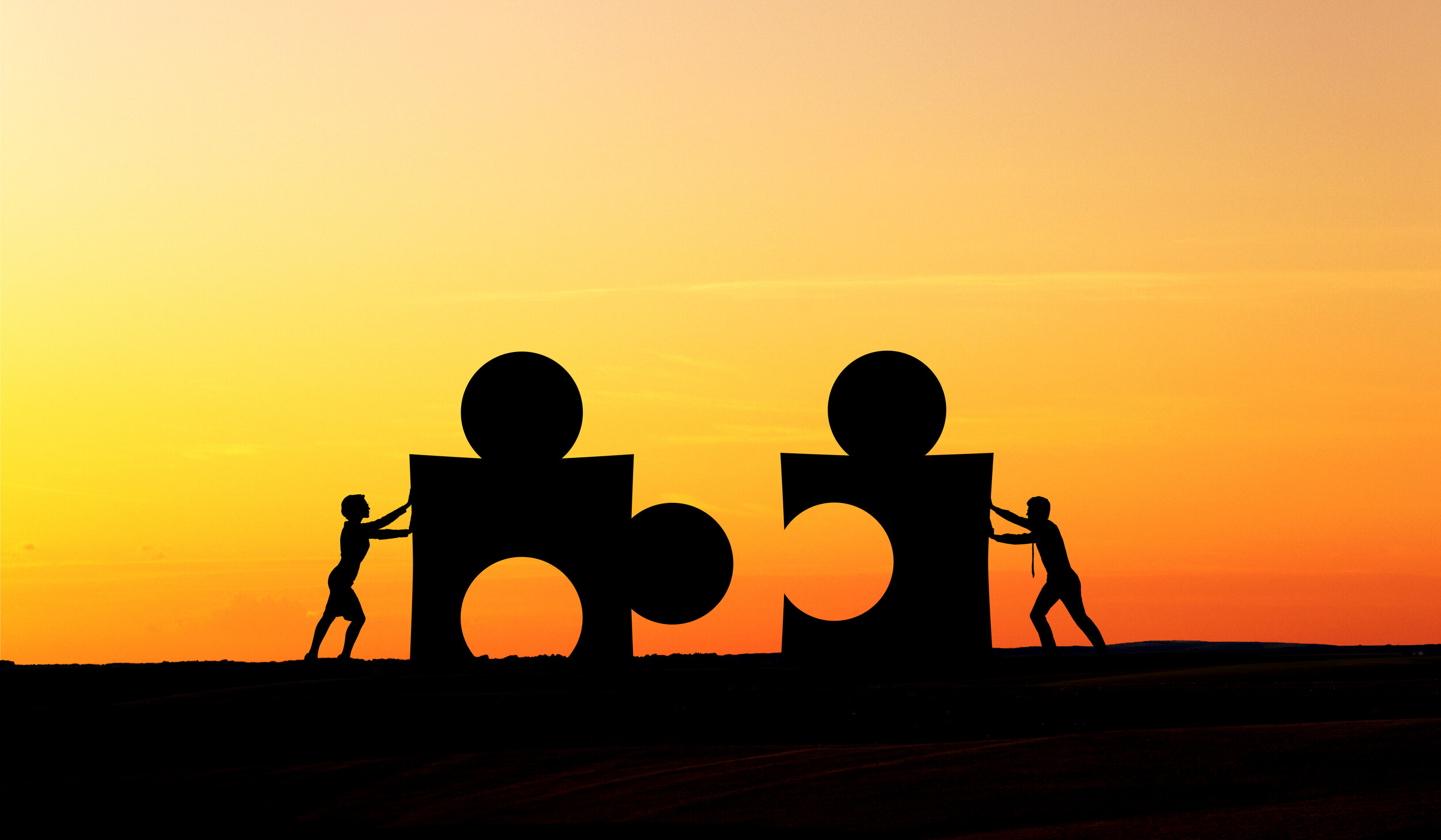 A Partnership that “Fits”: The Importance of Shared Values