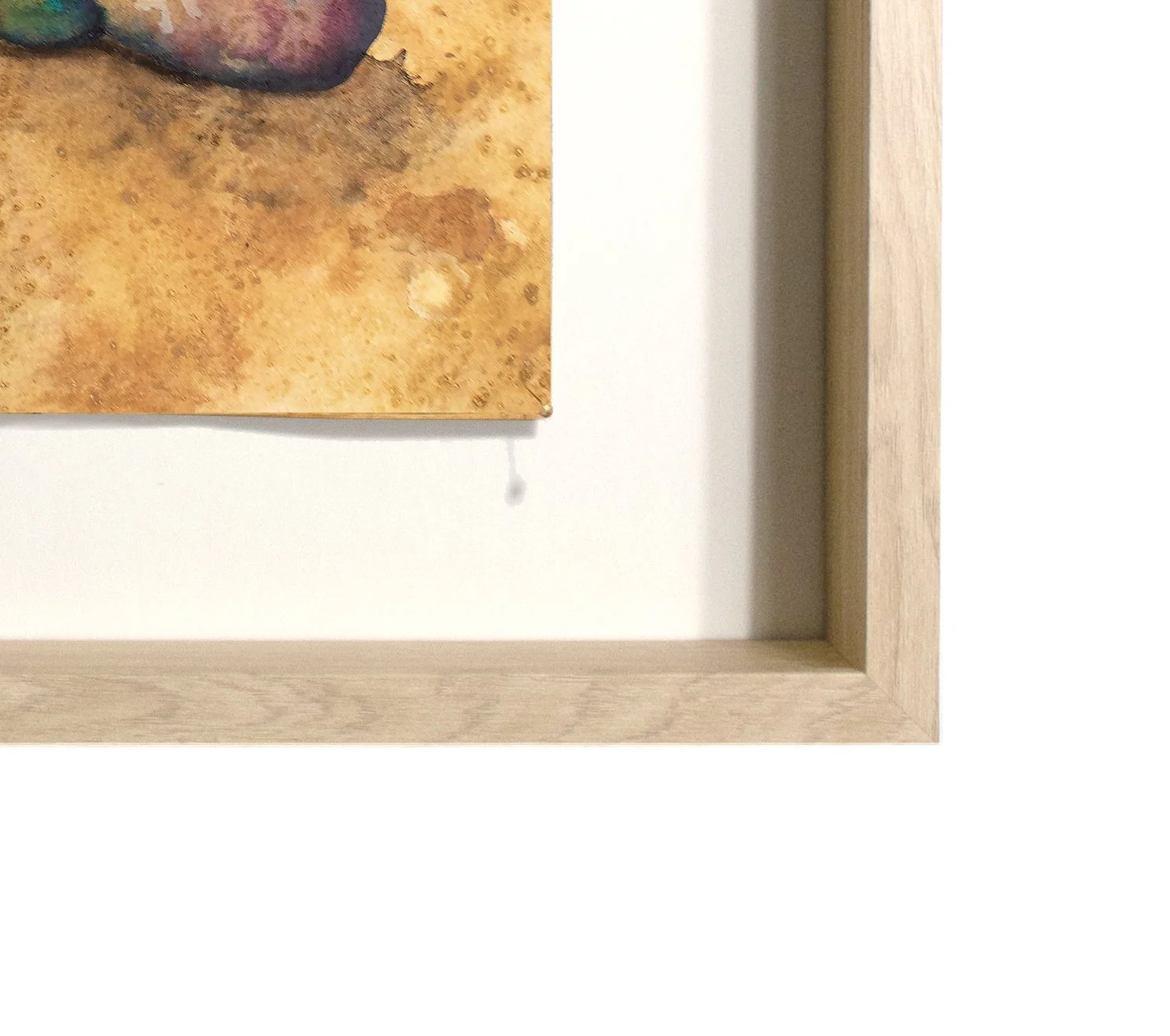 Gaia br frame front crop.jpeg