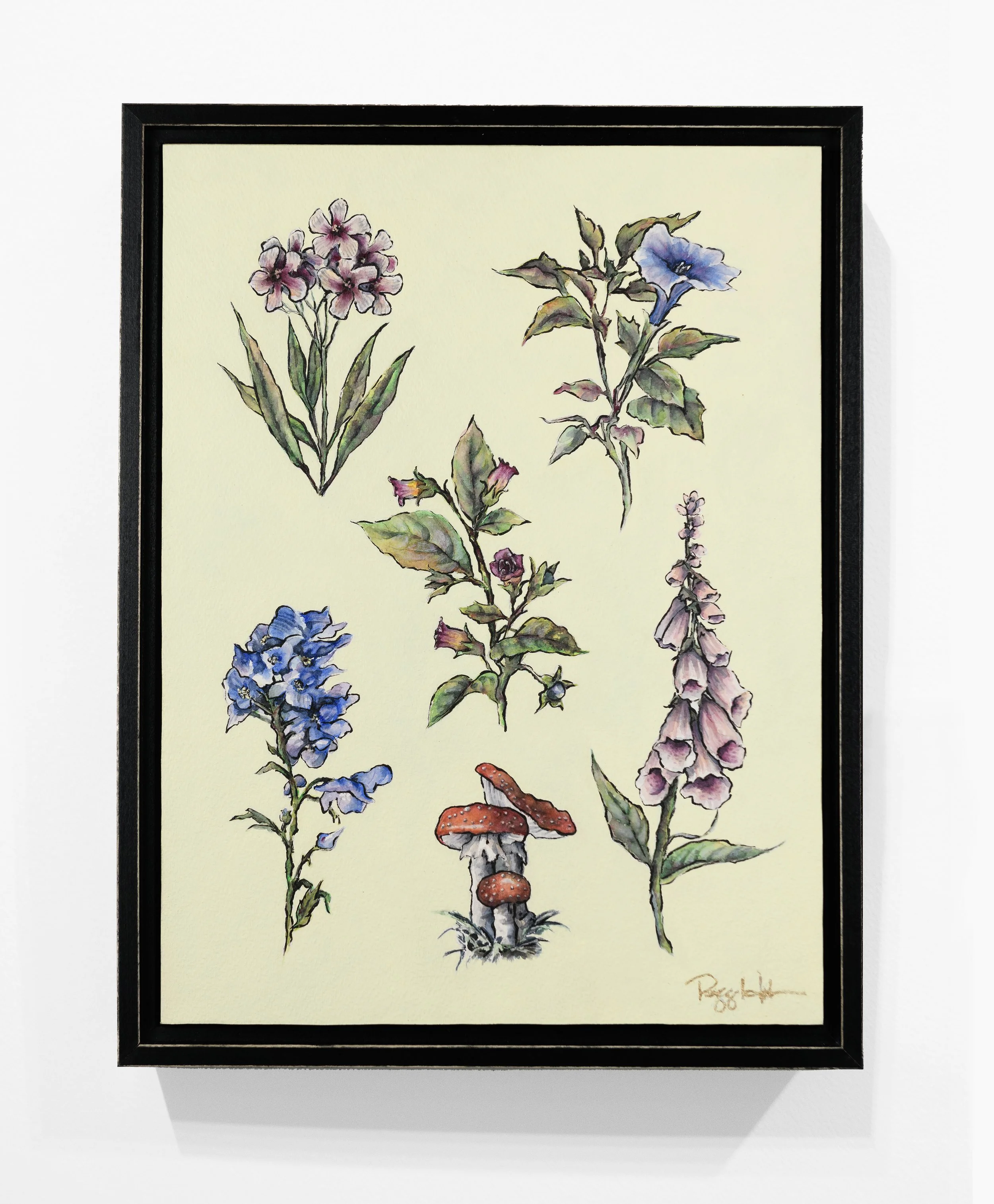 Wicked Plants in frame .jpg