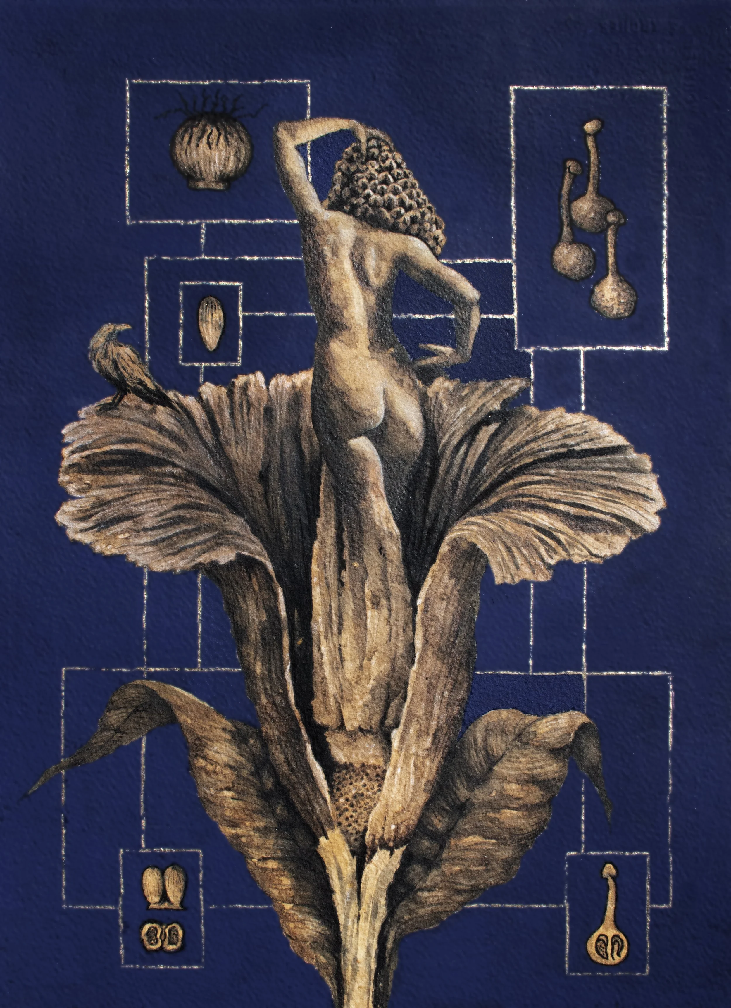 Corpse Flower blue.jpg