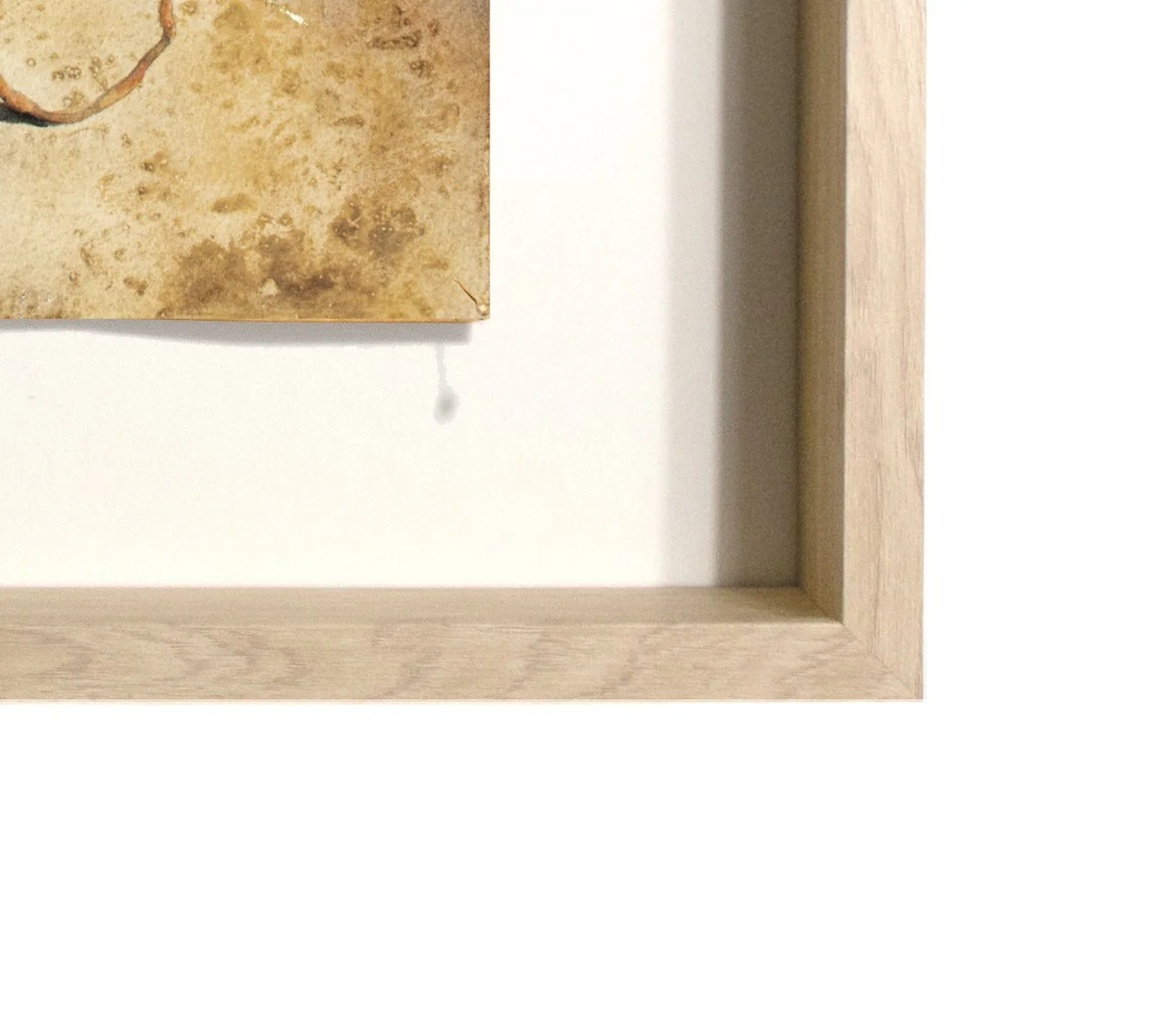 Tomorrow br frame front crop.jpg