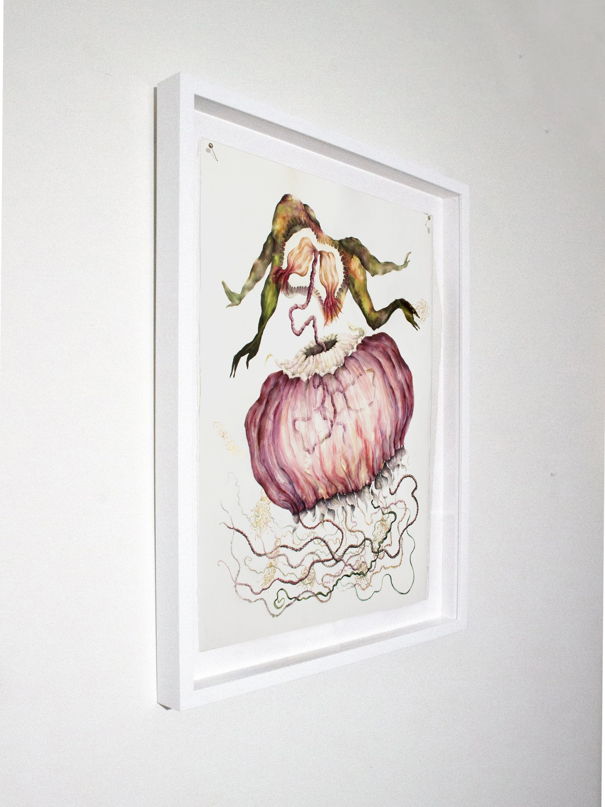 Volition white frame4.jpg