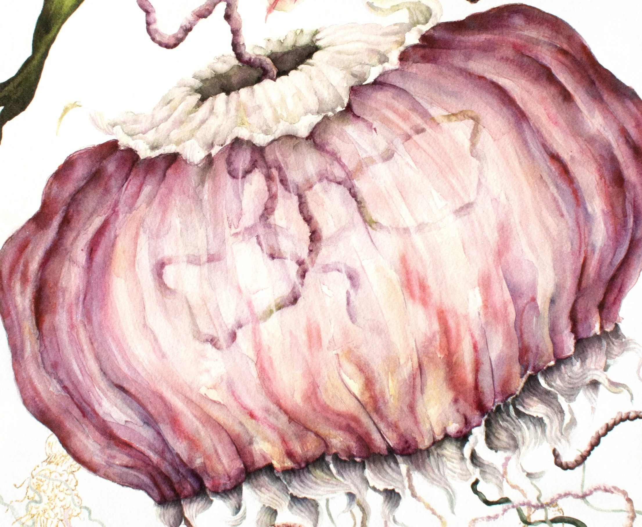 Her Own Volition crop2.jpg