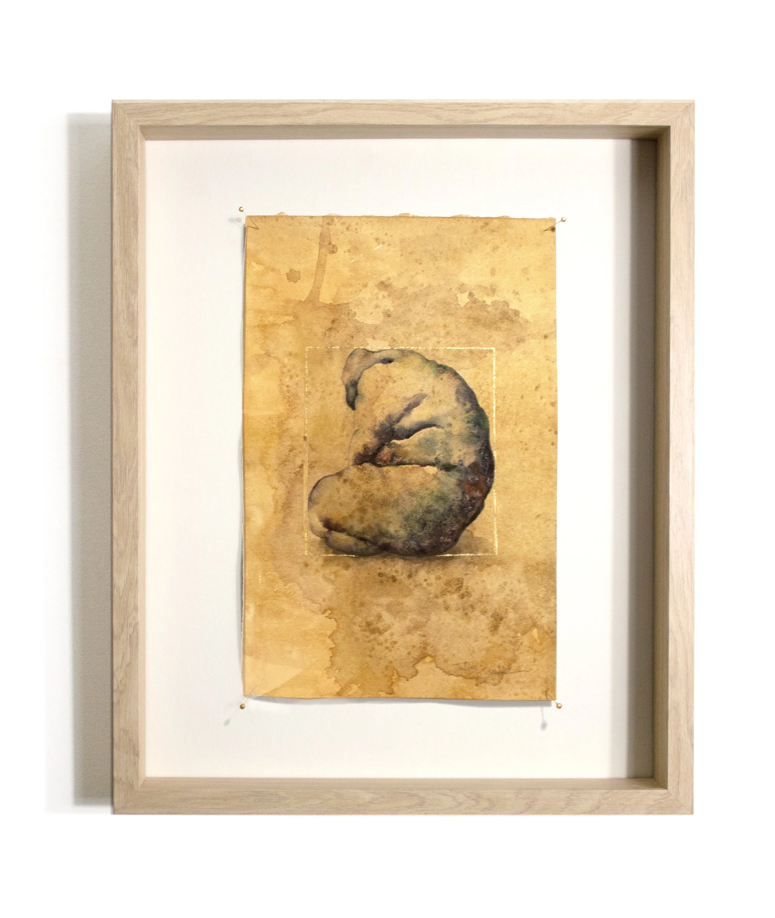 Burden br frame front border.jpeg