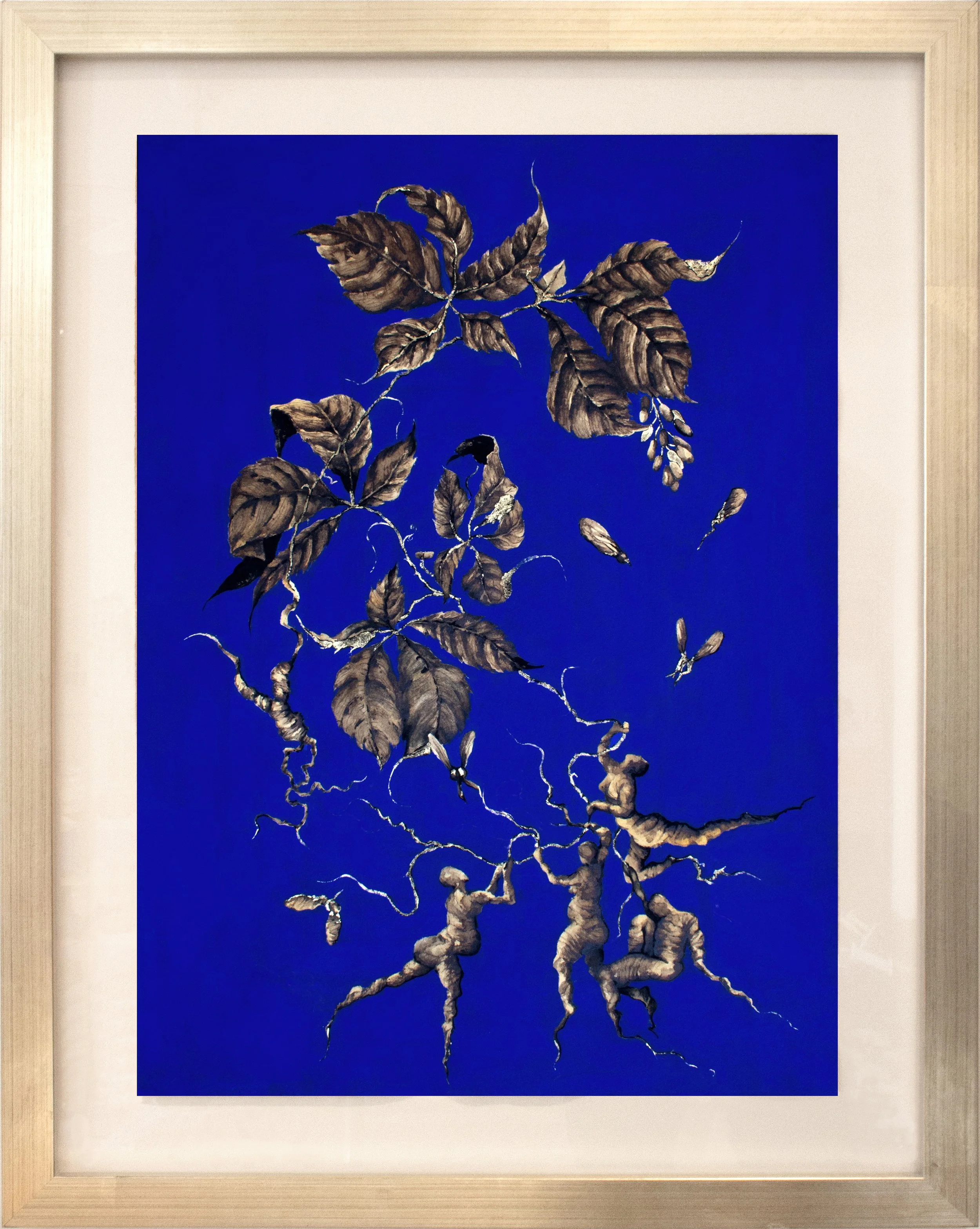 Ginseng blue in peuter frame.jpg