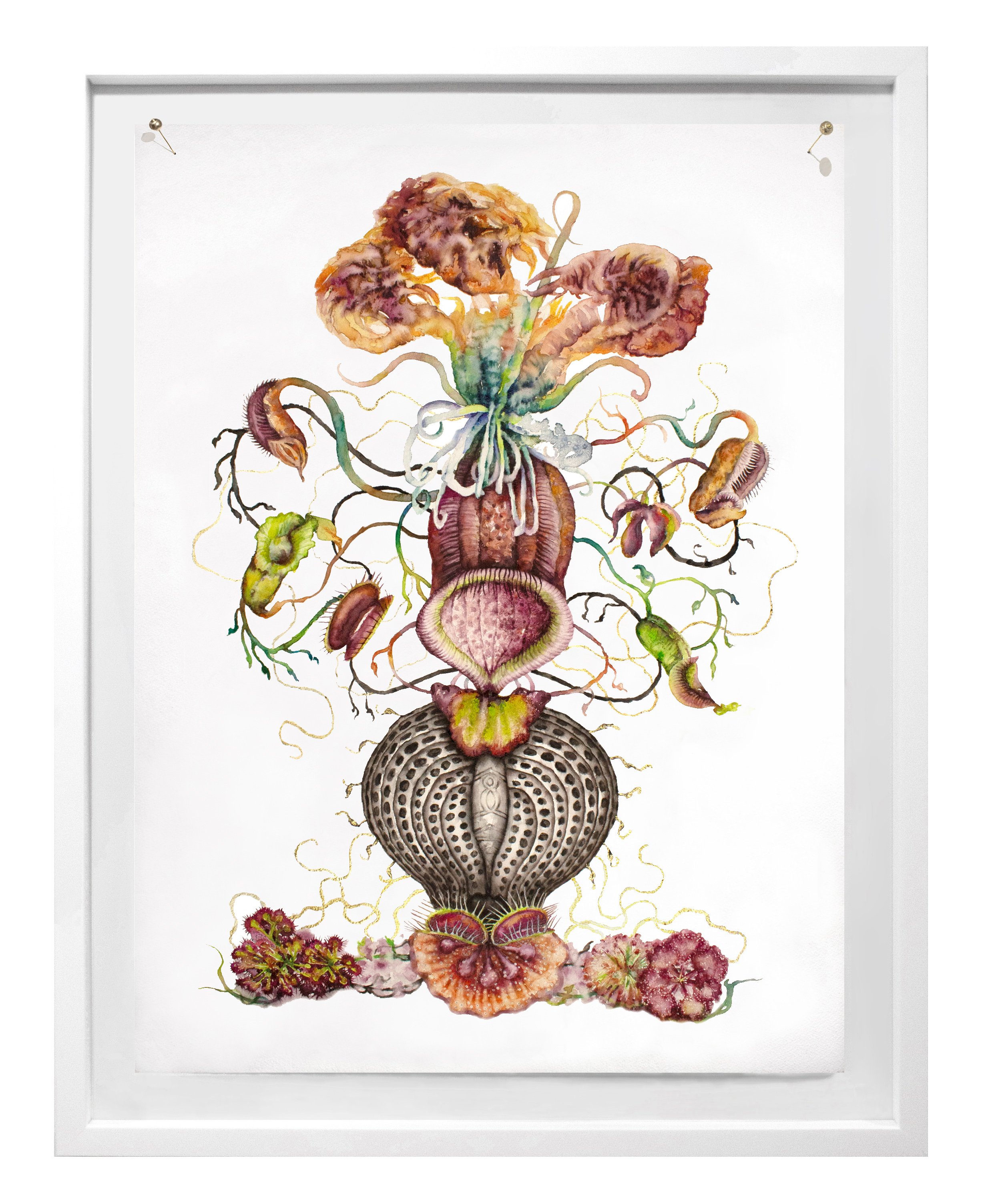 Lure white frame2.jpg