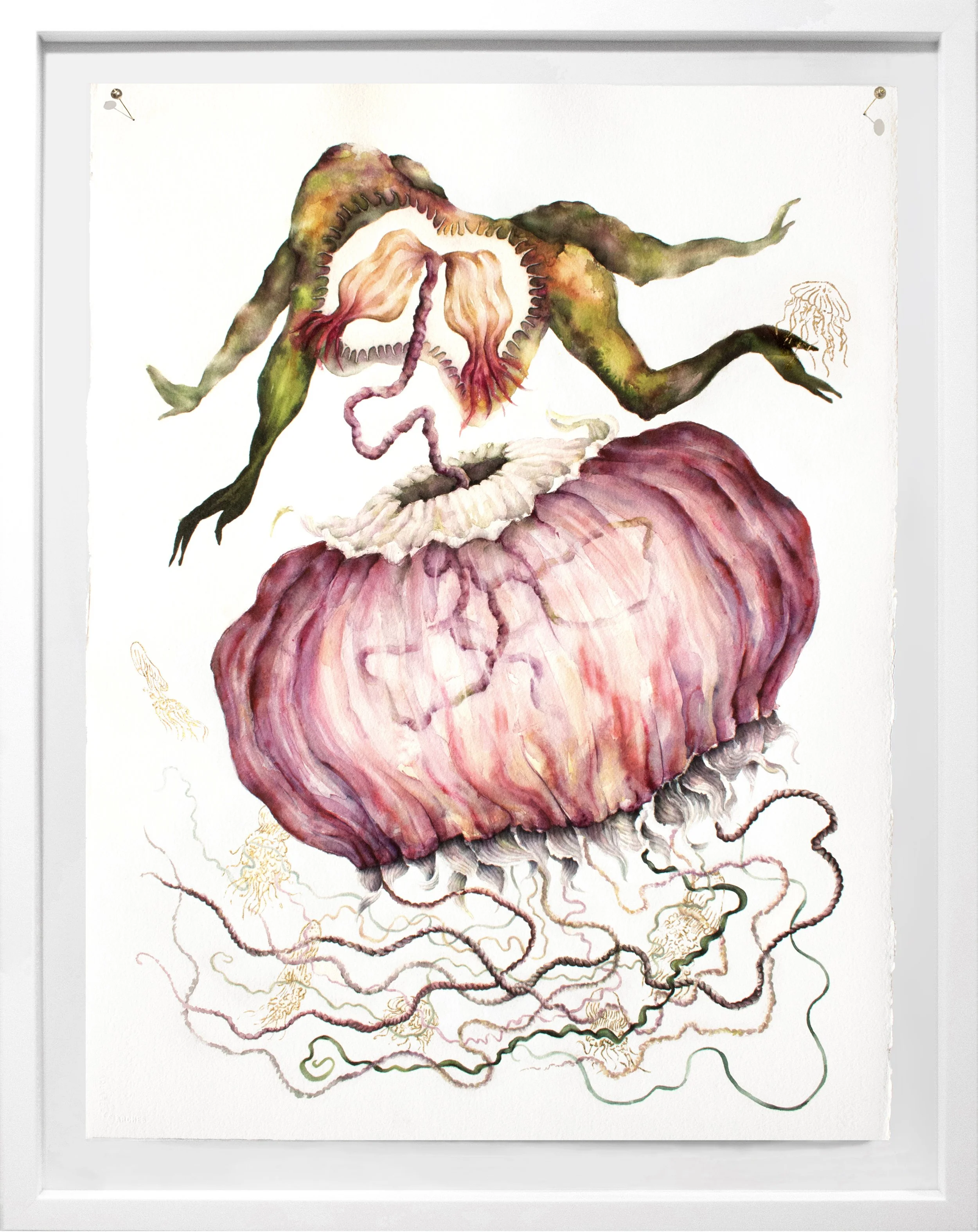 Volition white frame.jpg