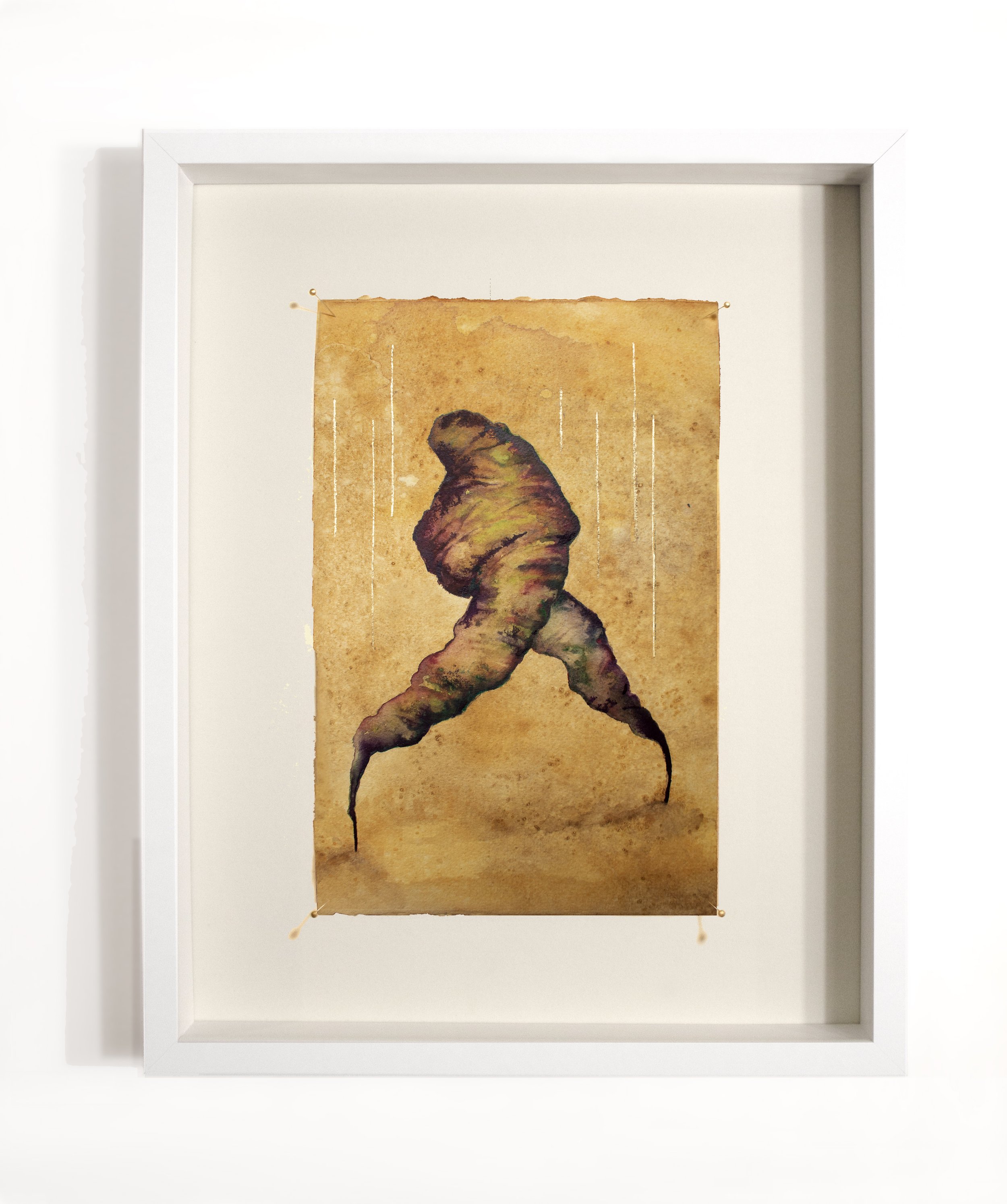 Jaunty wh frame front border.jpg