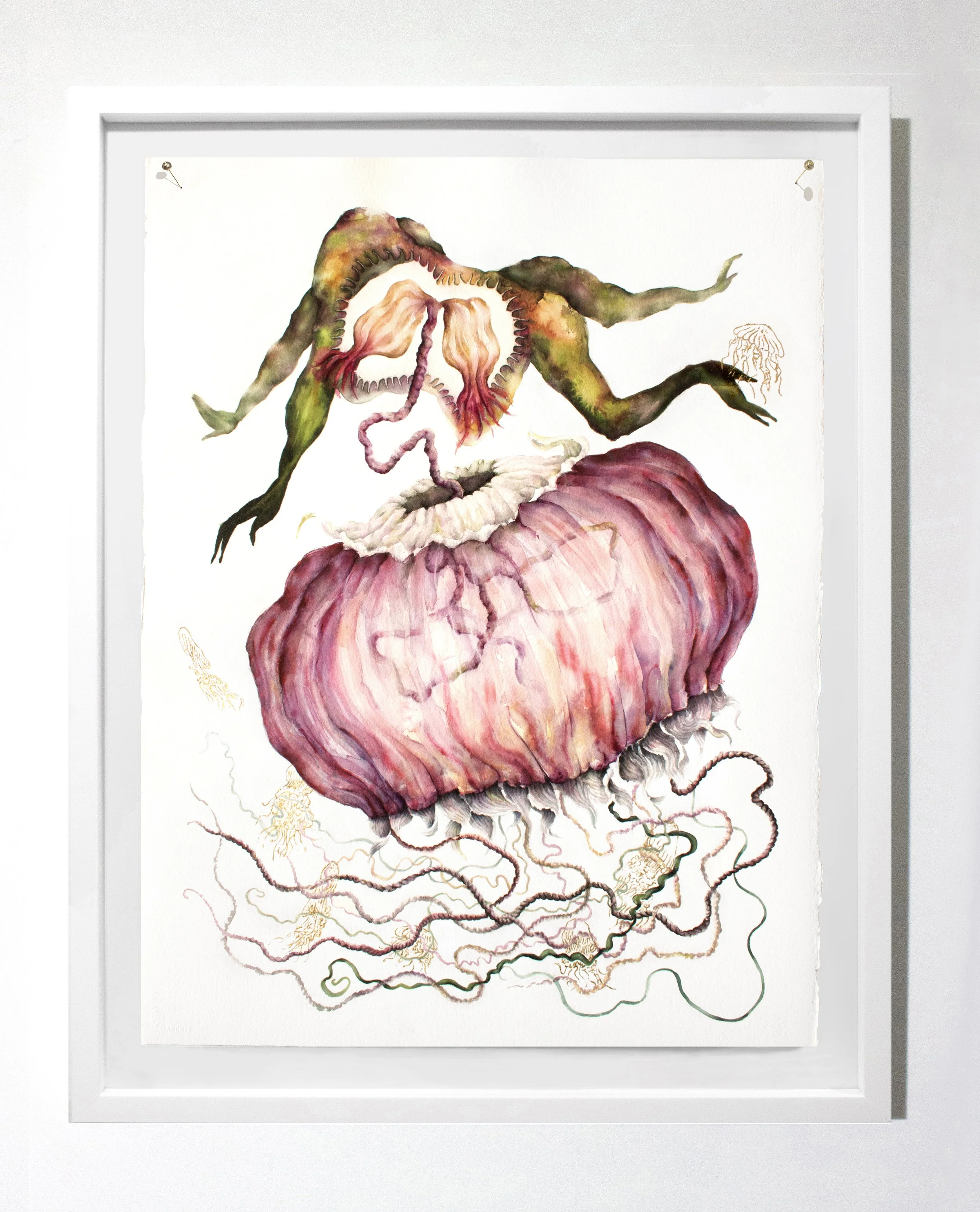 Volition white frame2.jpg