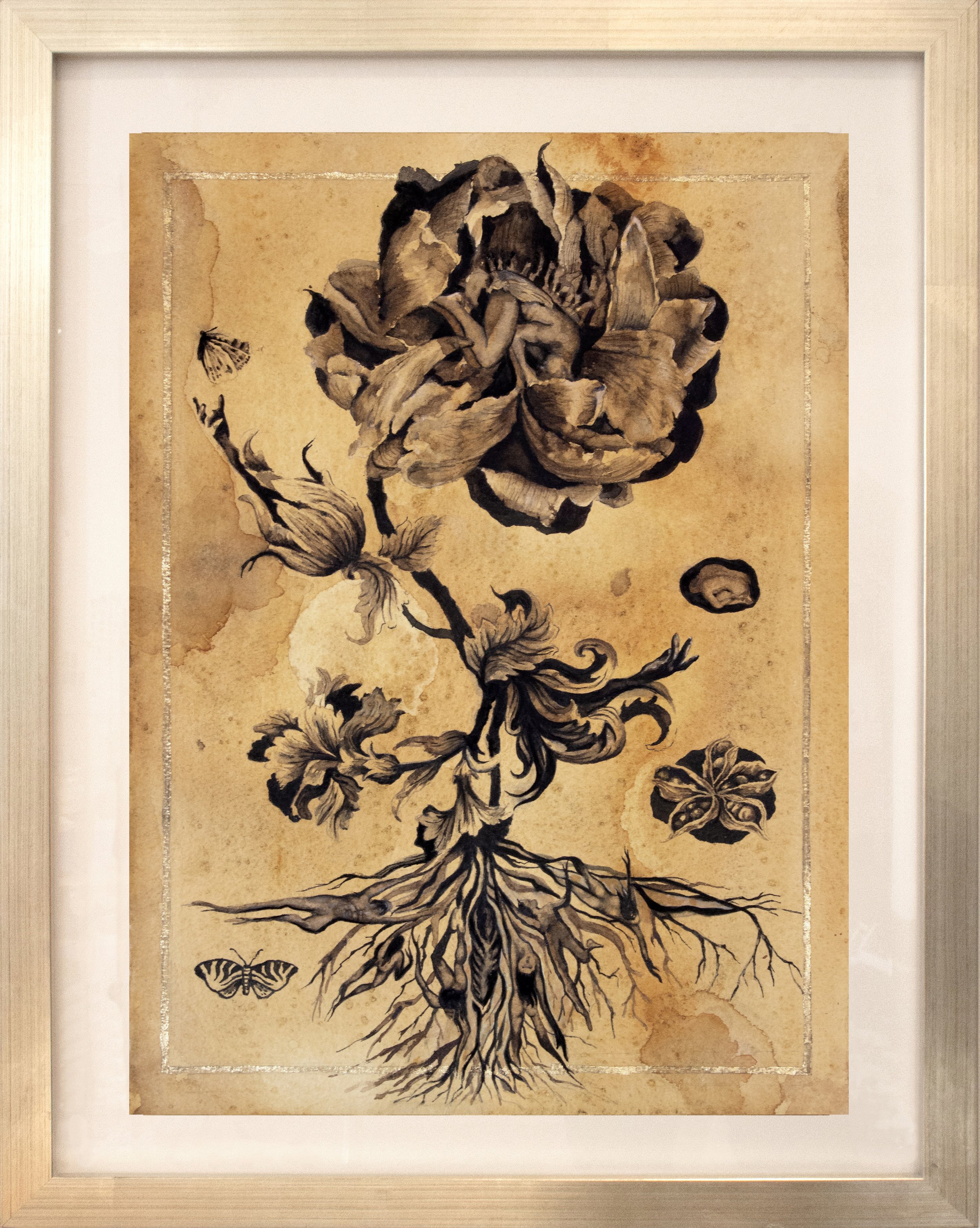 Pareidolia frame.jpg