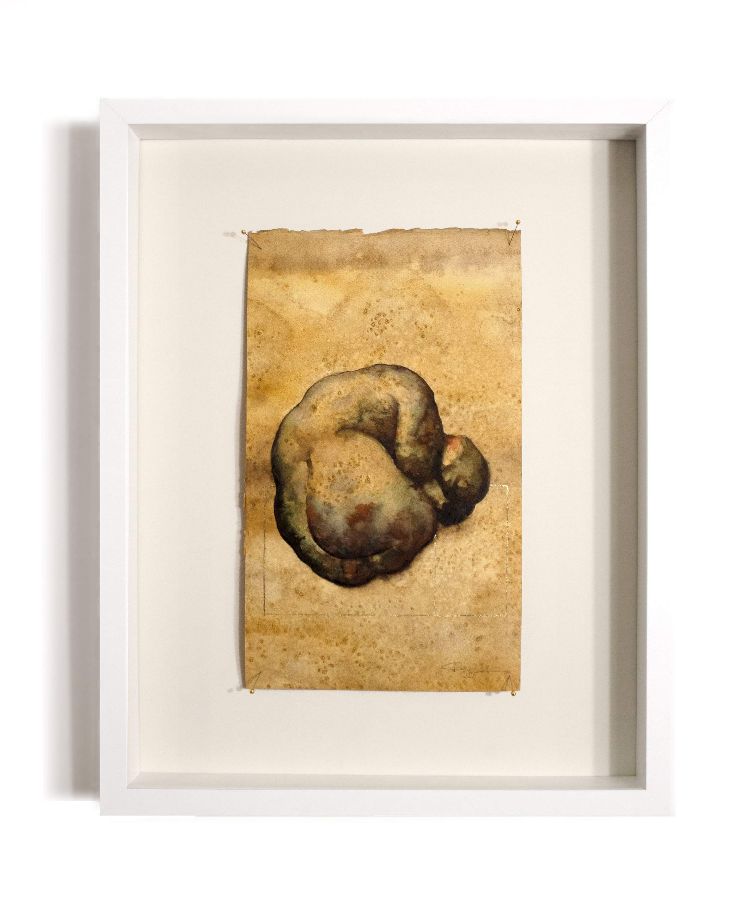 Dreamscape wh frame front border.jpg