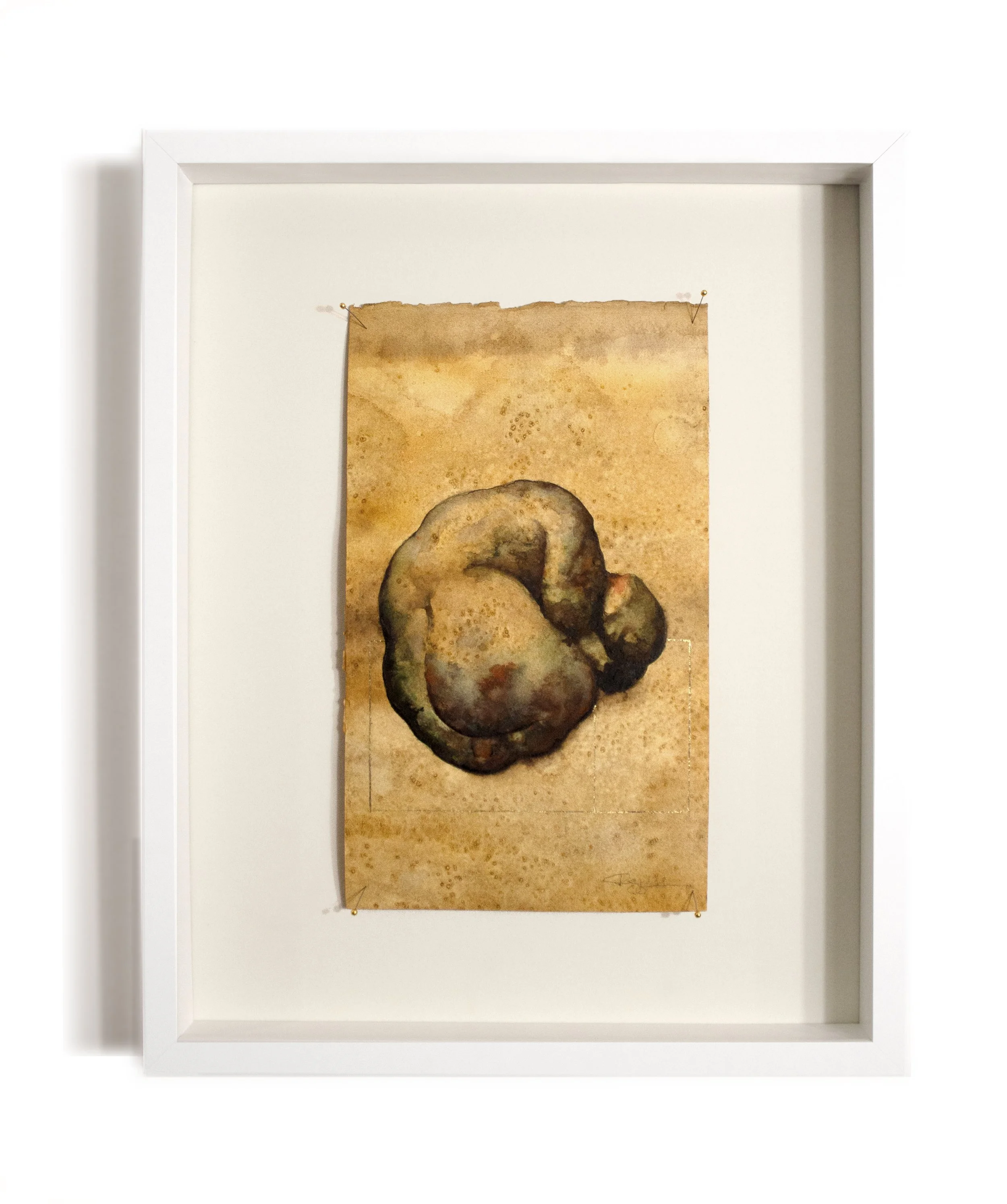 Dreamscape wh frame front border.jpg