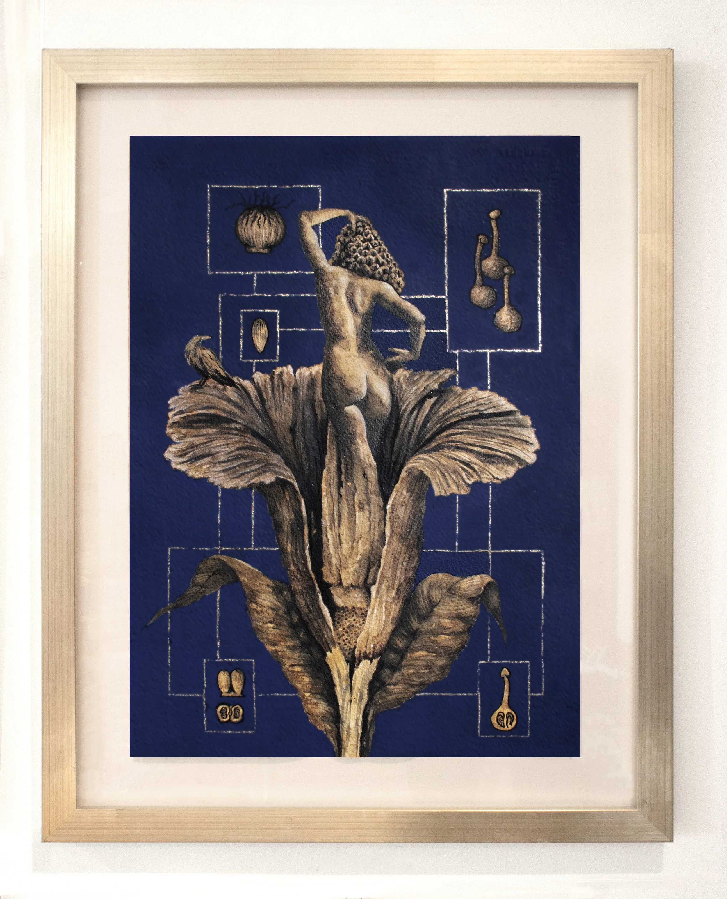 Corpse Flower blue frame.jpg