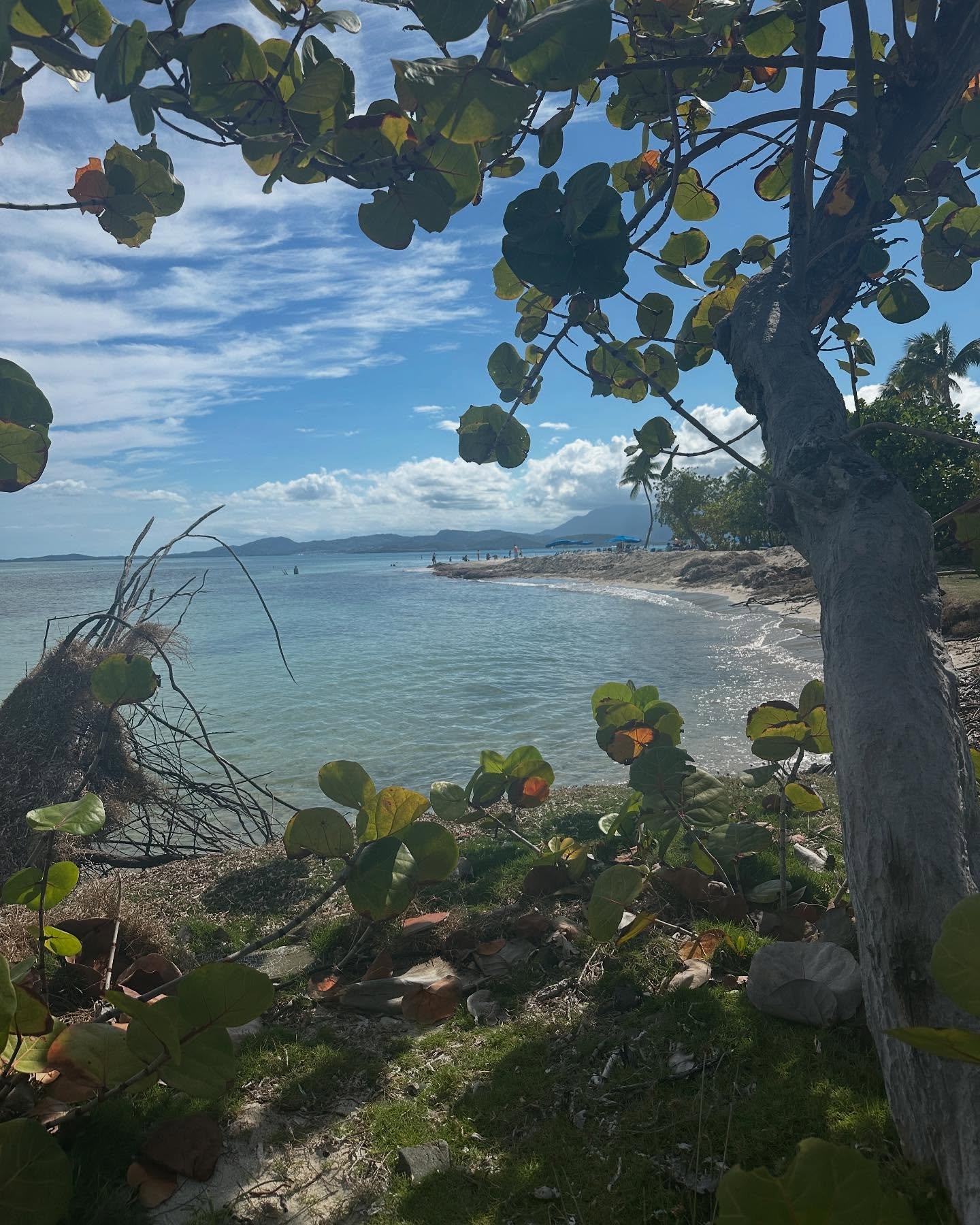Happy Sunday! Here are some lovely photos of Puerto Rico to ease you into Monday. 🤣 

I can&rsquo;t wait to paint a new collection based on Isla Palomino. If you would like to see my post on Puerto Rico comment with a 🌴 and I will send you the link