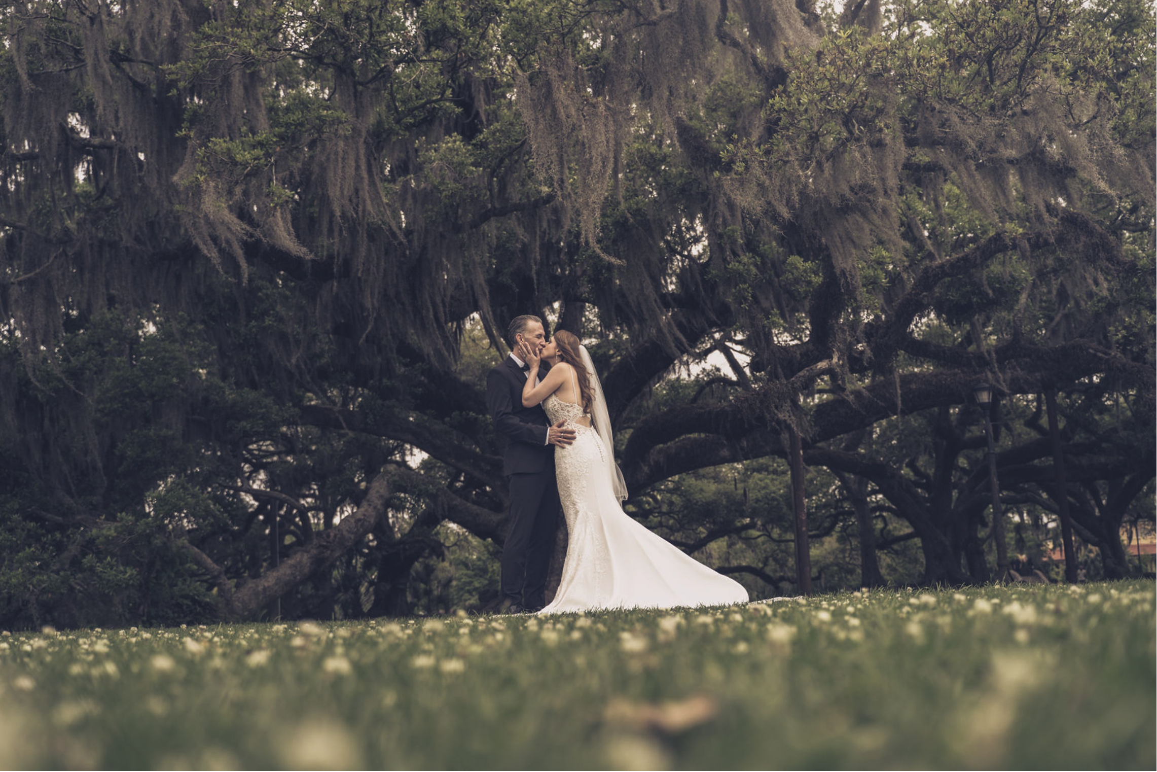 A bride and groom kiss in front of a large tree with moss hanging from its branches during a wedding photoshoot.