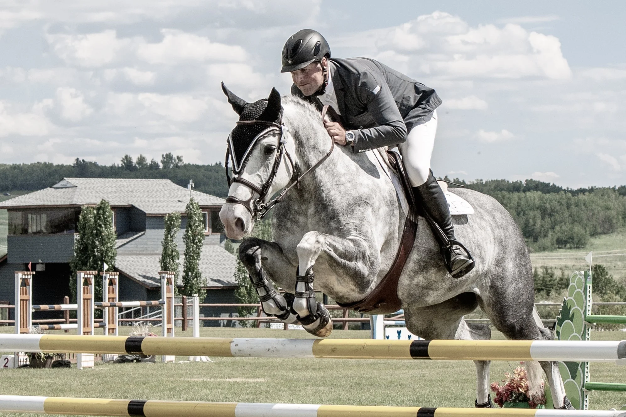 Coaching & Training — Birnam Wood Equestrian