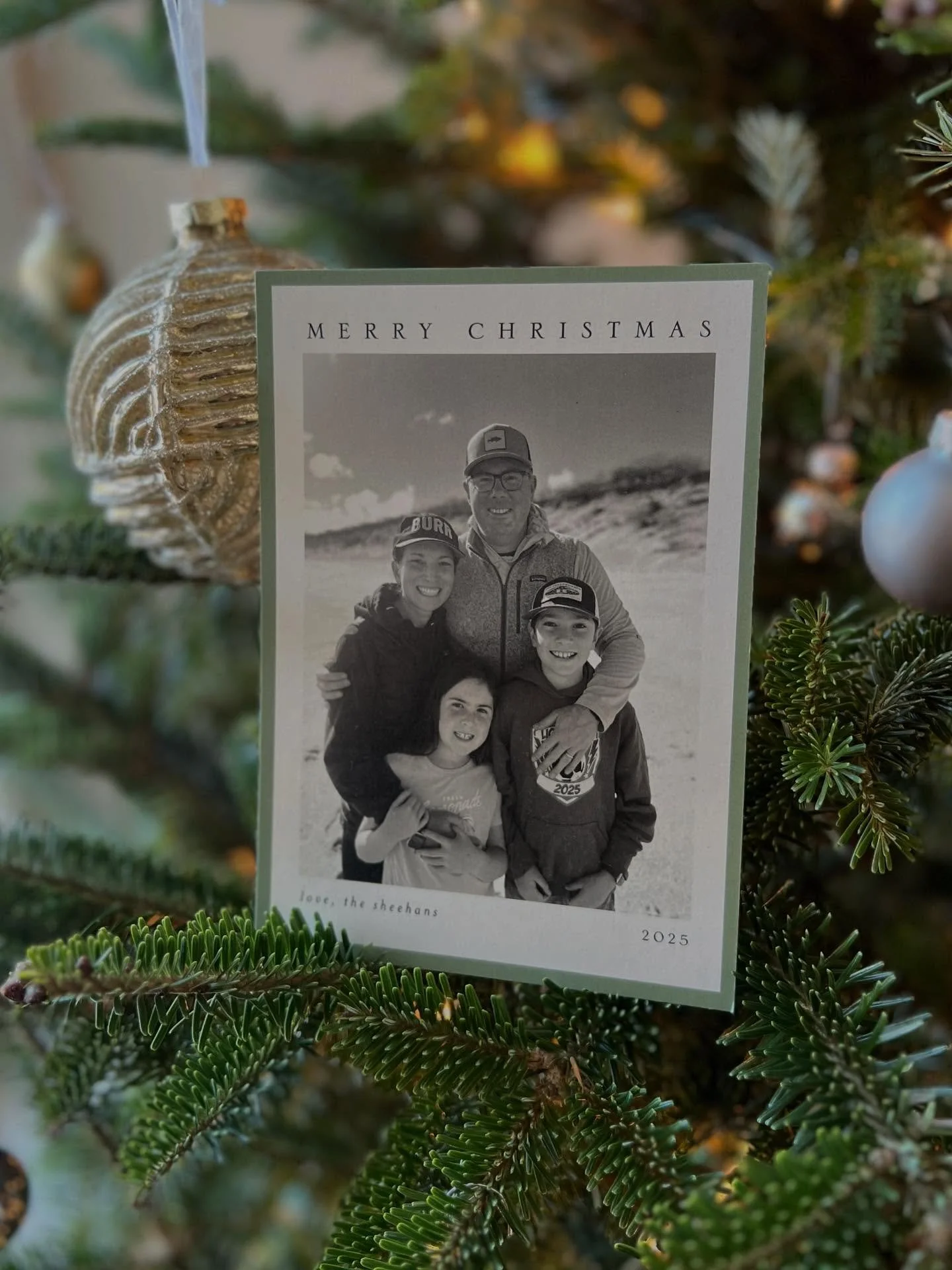 Merry merry from my family to yours! 🌲❤️🌲