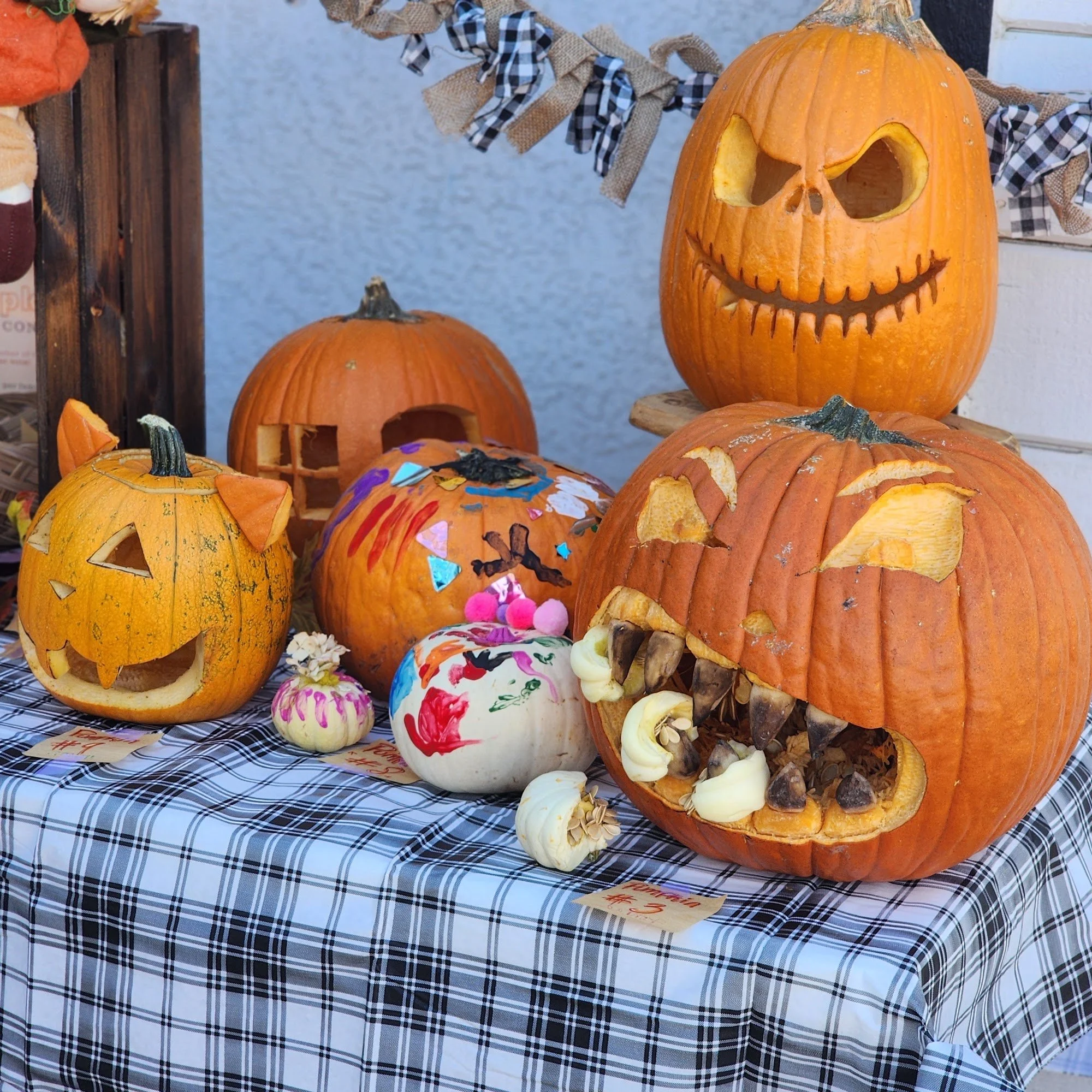 Carved and painted jack-o'-lanterns on a plaid tablecloth at the Roseville Ranch Montessori Fall Festival