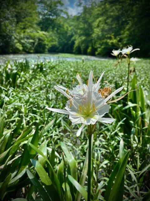 IMG_0092.jpeg