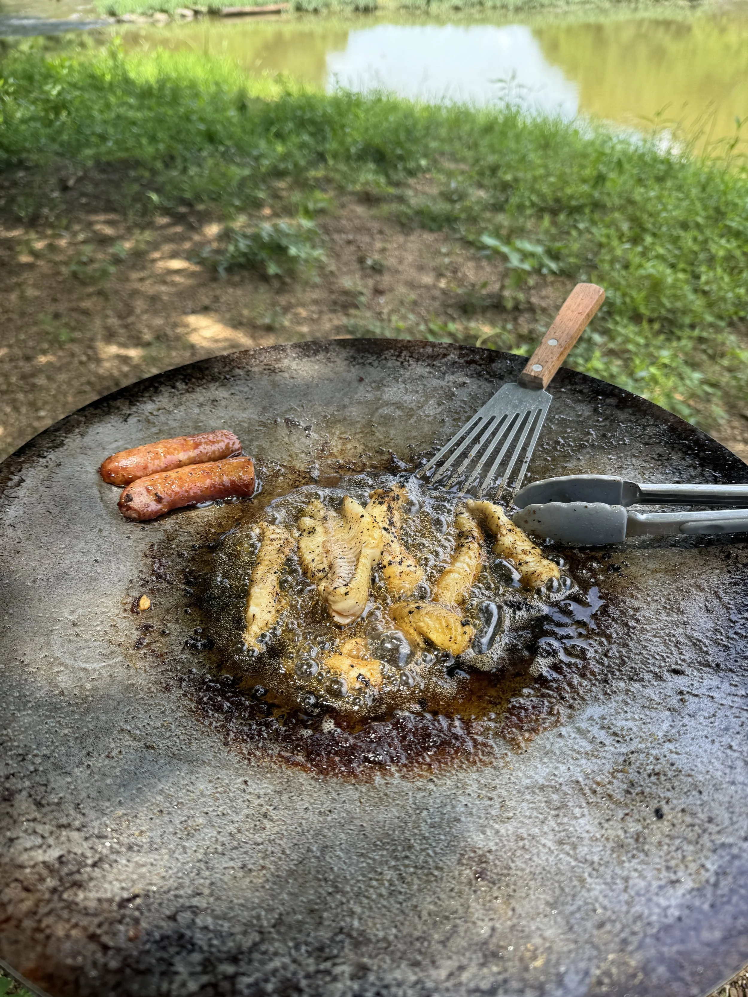 IMG_3461.jpeg