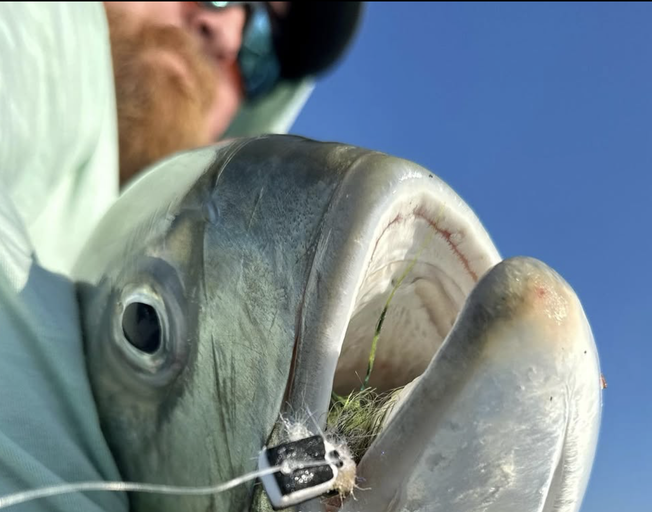 Screenshot 2025-09-15 at 8.27.32 AM.png