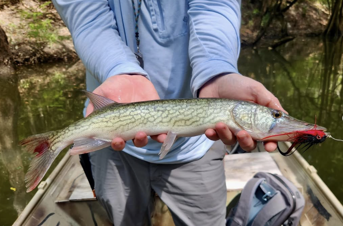 Screenshot 2025-09-15 at 8.28.52 AM.png