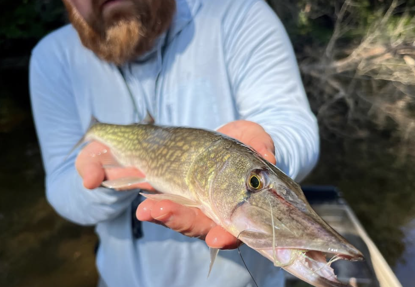 Screenshot 2025-09-15 at 8.29.12 AM.png