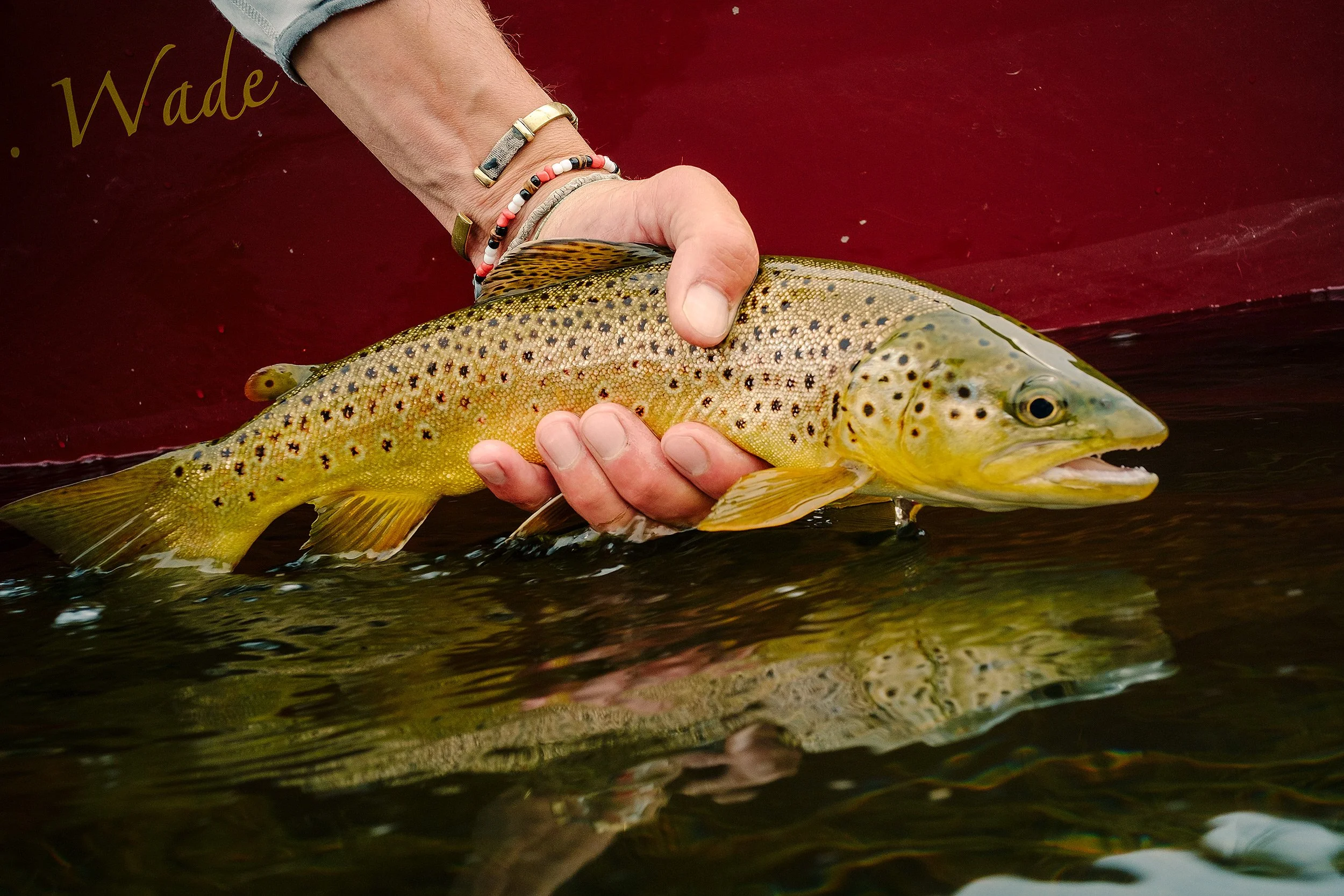 2014_MT_Flyfishing_TS_0603.jpg
