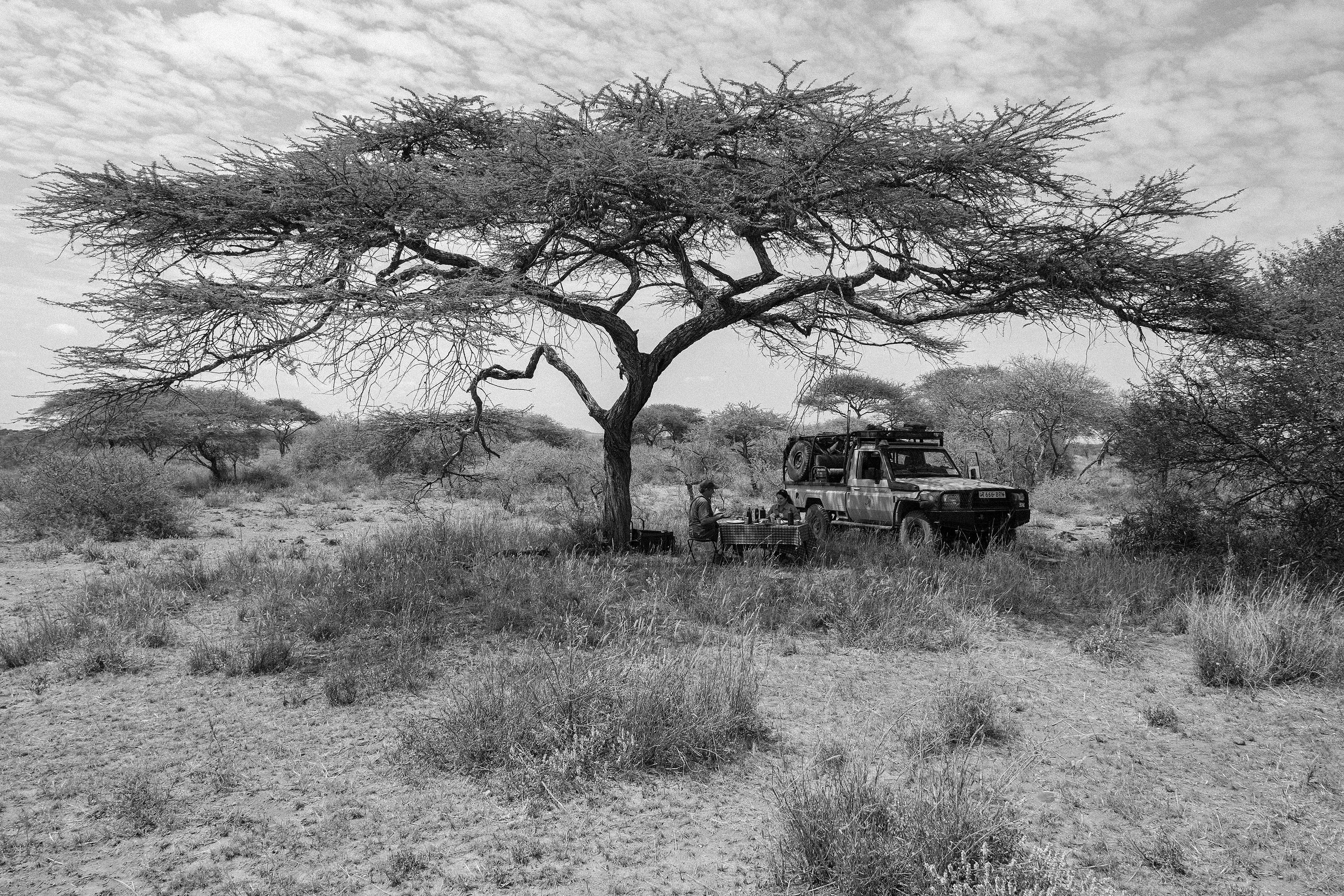 TNZ_Love-Safari_00875-BW.jpg