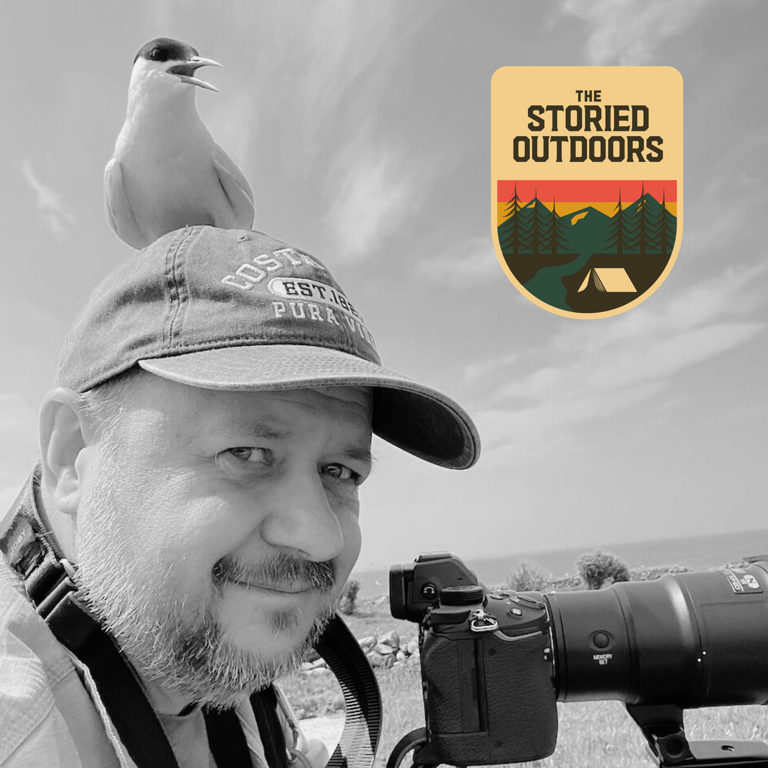 Kevin Burrell: Author of Considering Sparrows