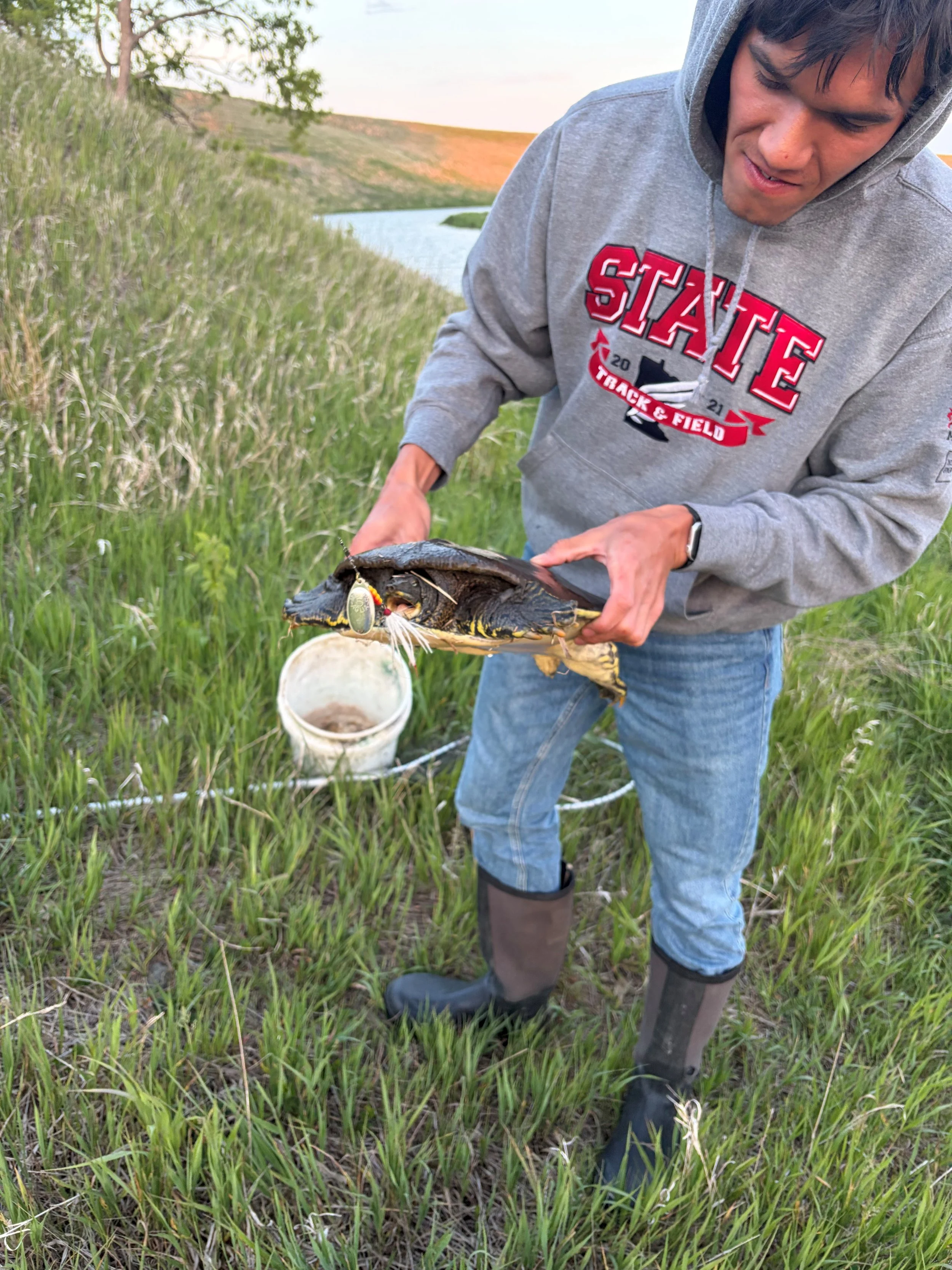 Softshell Turtle.JPG