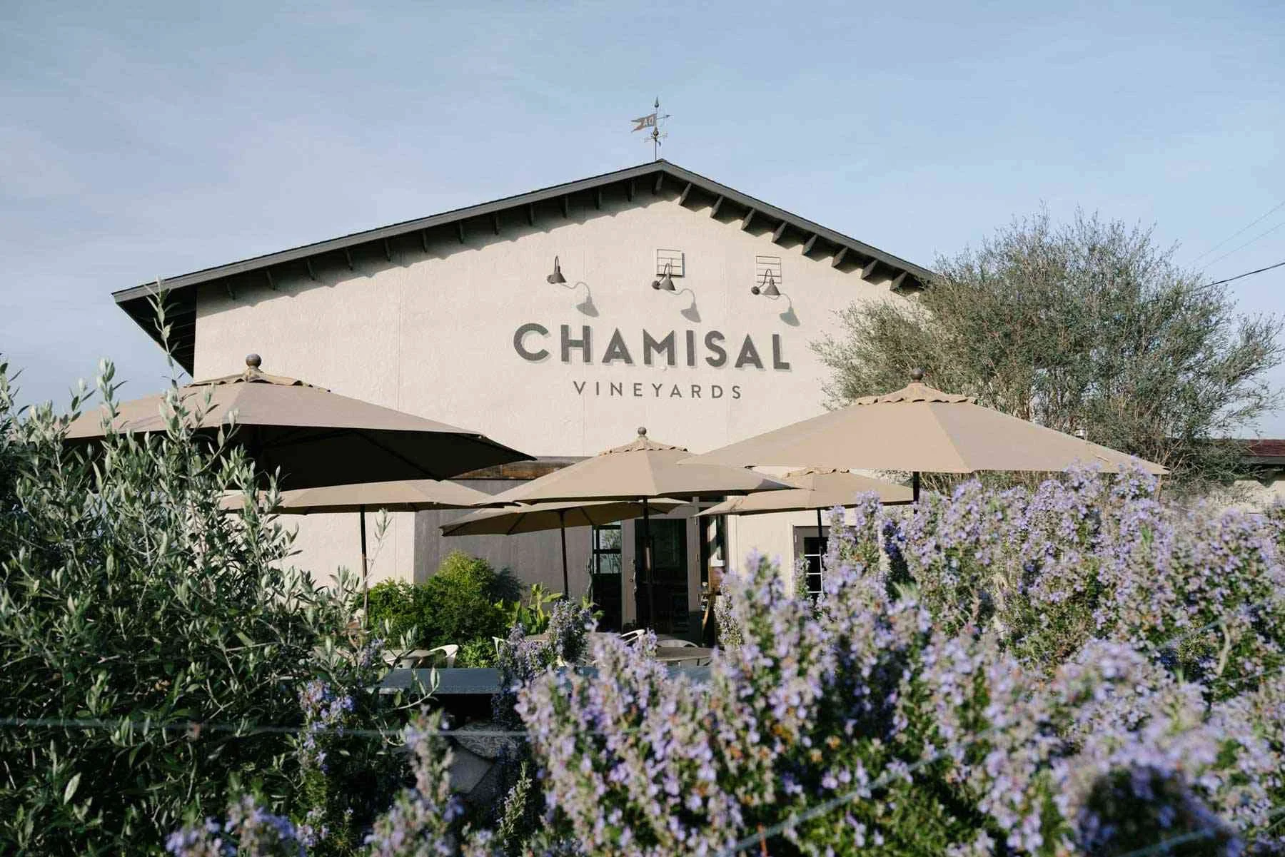 Chamisal Vineyard