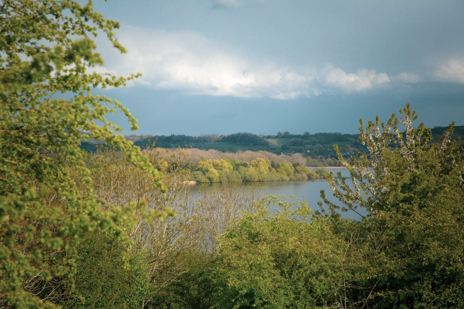 Screenshot 2023-04-24 at 12.37.46.png