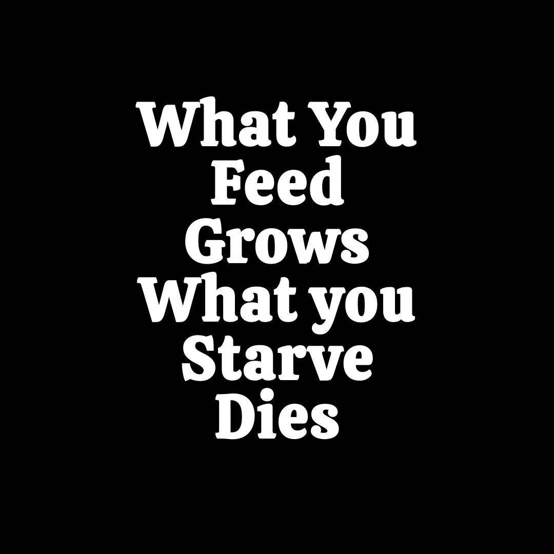 Your energy is precious. Feed your focus, your growth, and your peace and watch them flourish. Starve your doubts and distractions, and watch them fade away.

What are you feeding today? 🌱