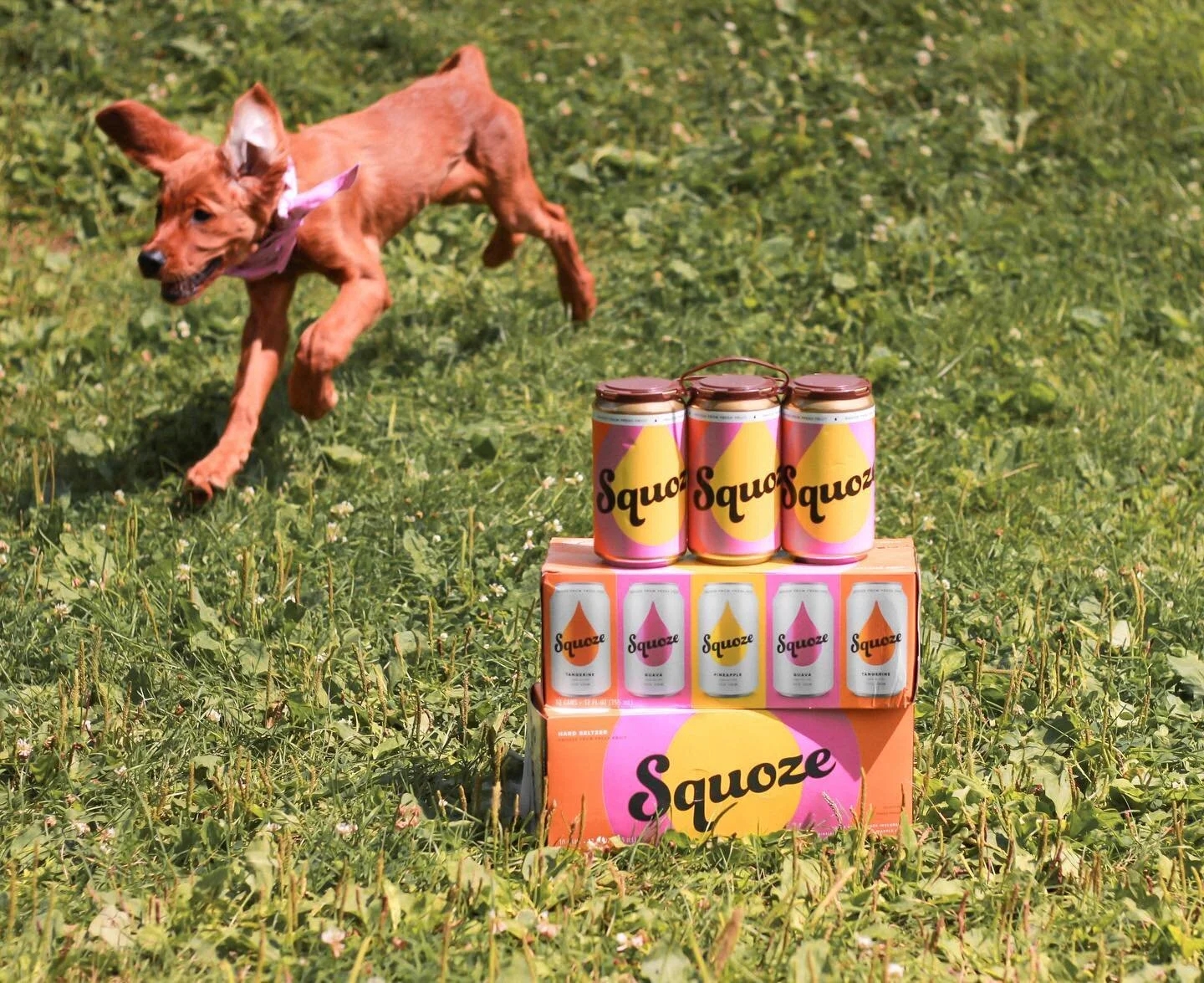 Saturday energy 🤘🏻