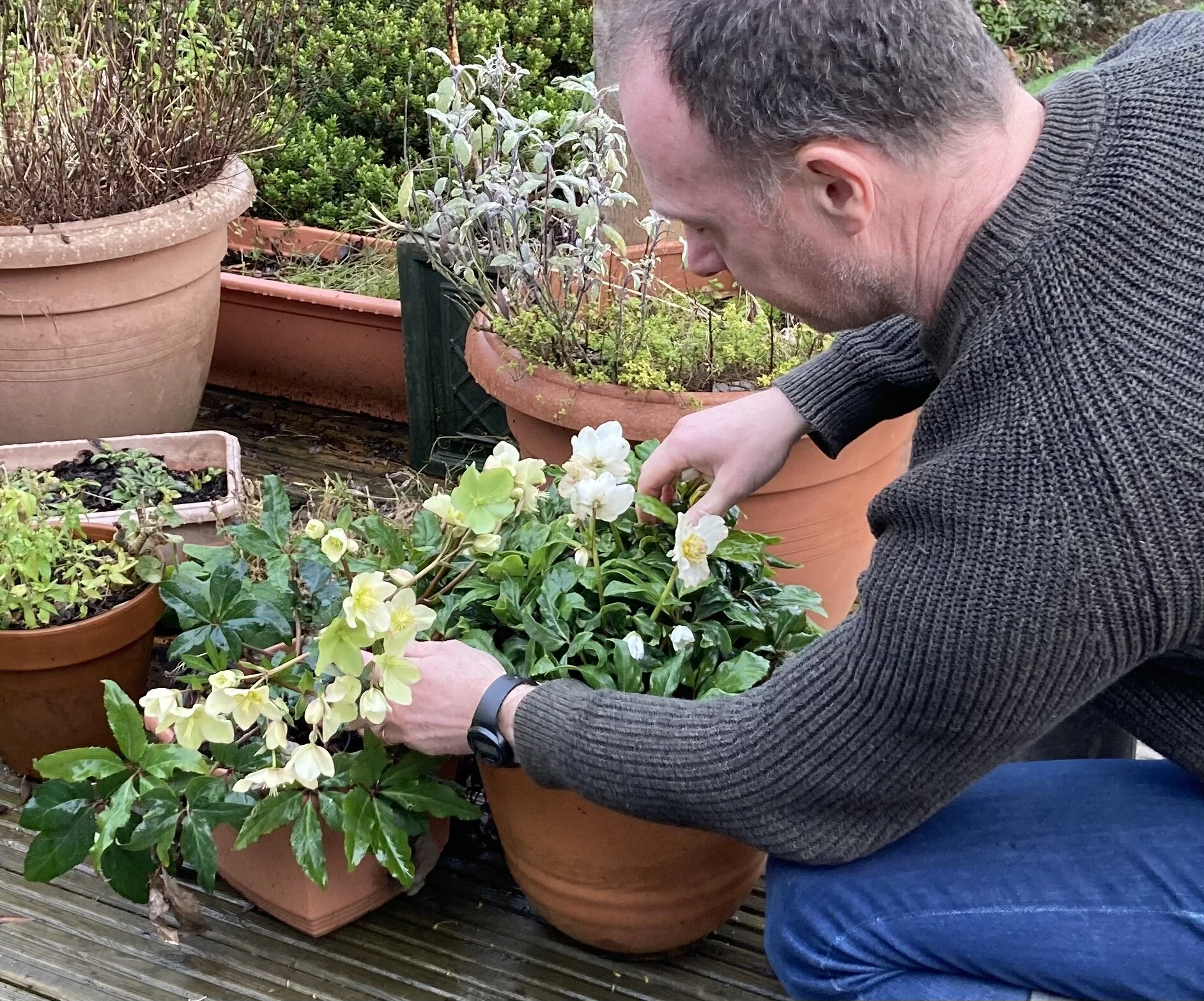 David in garden 2.jpg