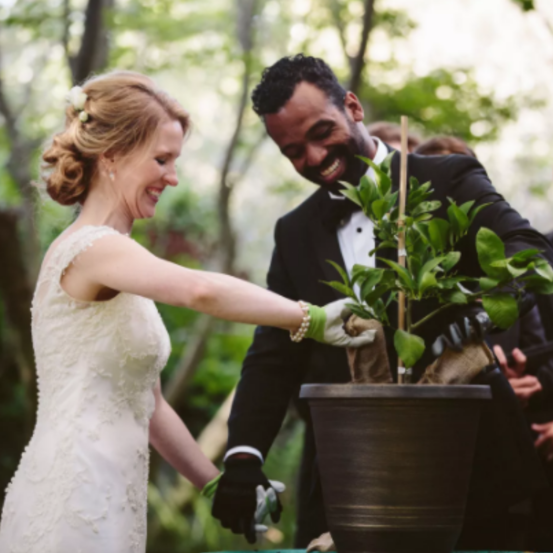 Tree planting wedding ceremony 60 photos - Vianawedding.com
