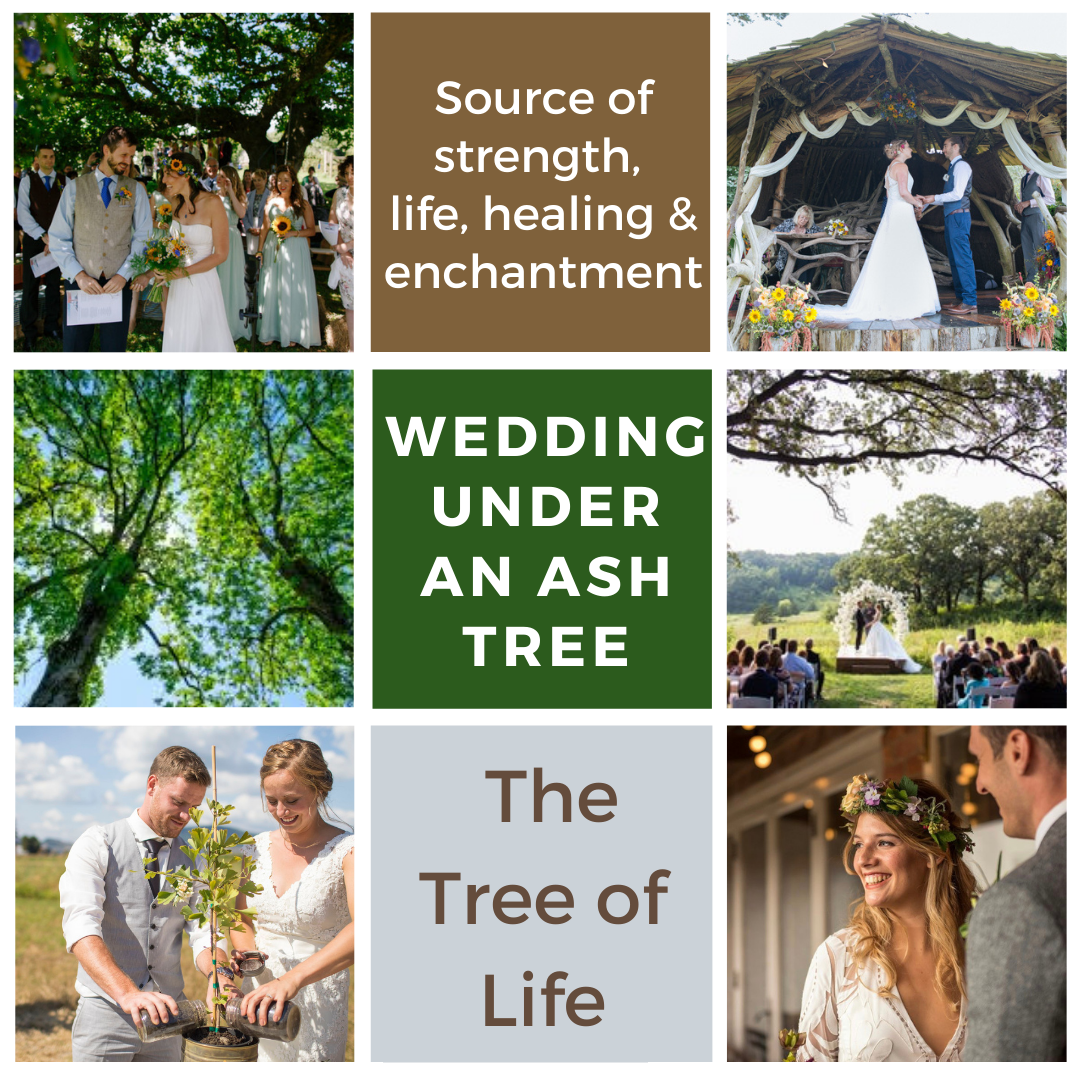 Wedding Under An Ash Tree