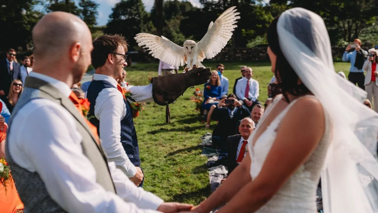 Barn Owl ring bearer at a Sheffield Festival wedding with celebrant David Willis