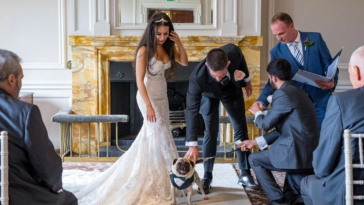 Dog ring bearer at a celebrant wedding ceremony in North Yorkshire