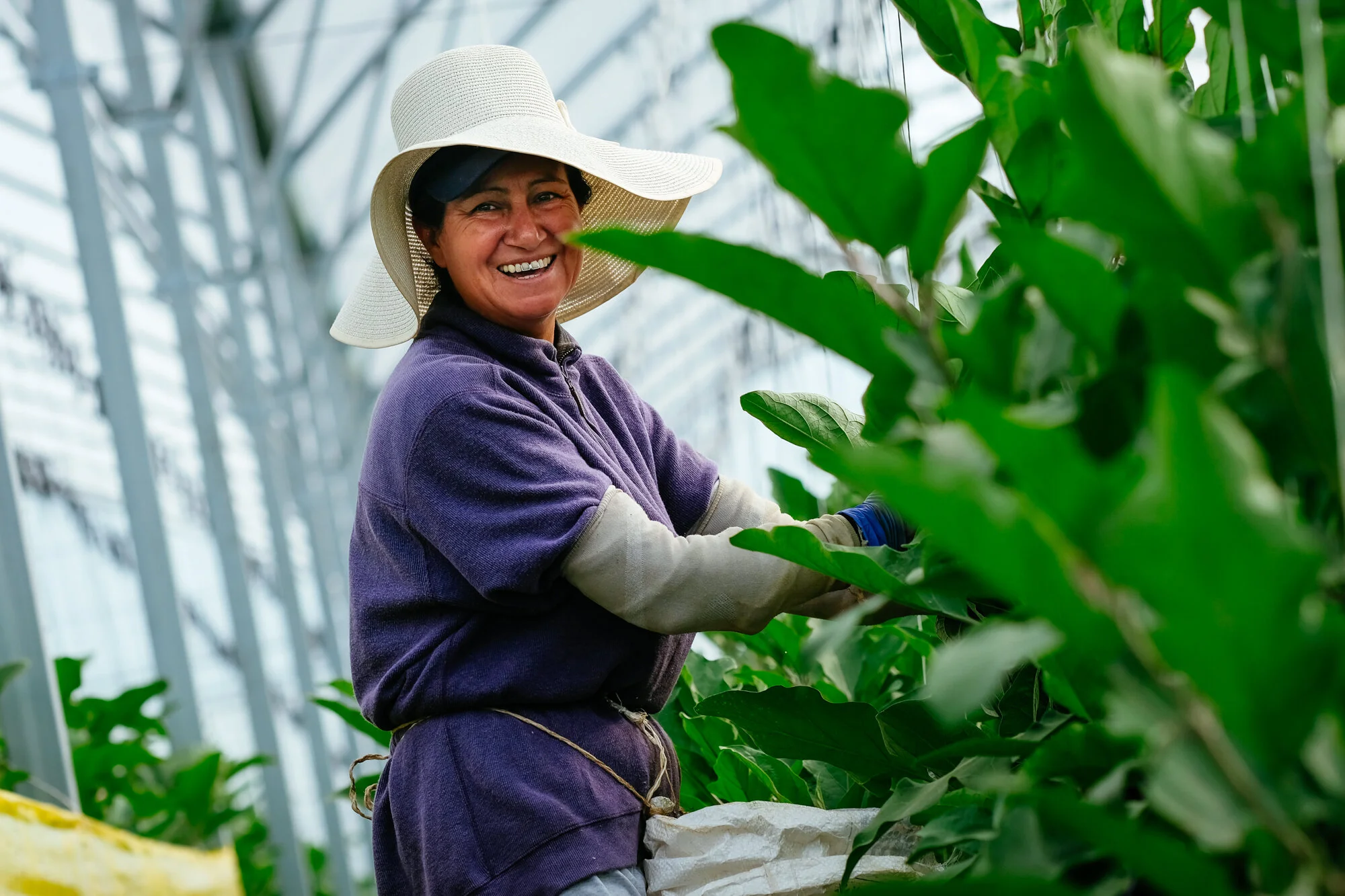 Social Impact Photography — James Roh