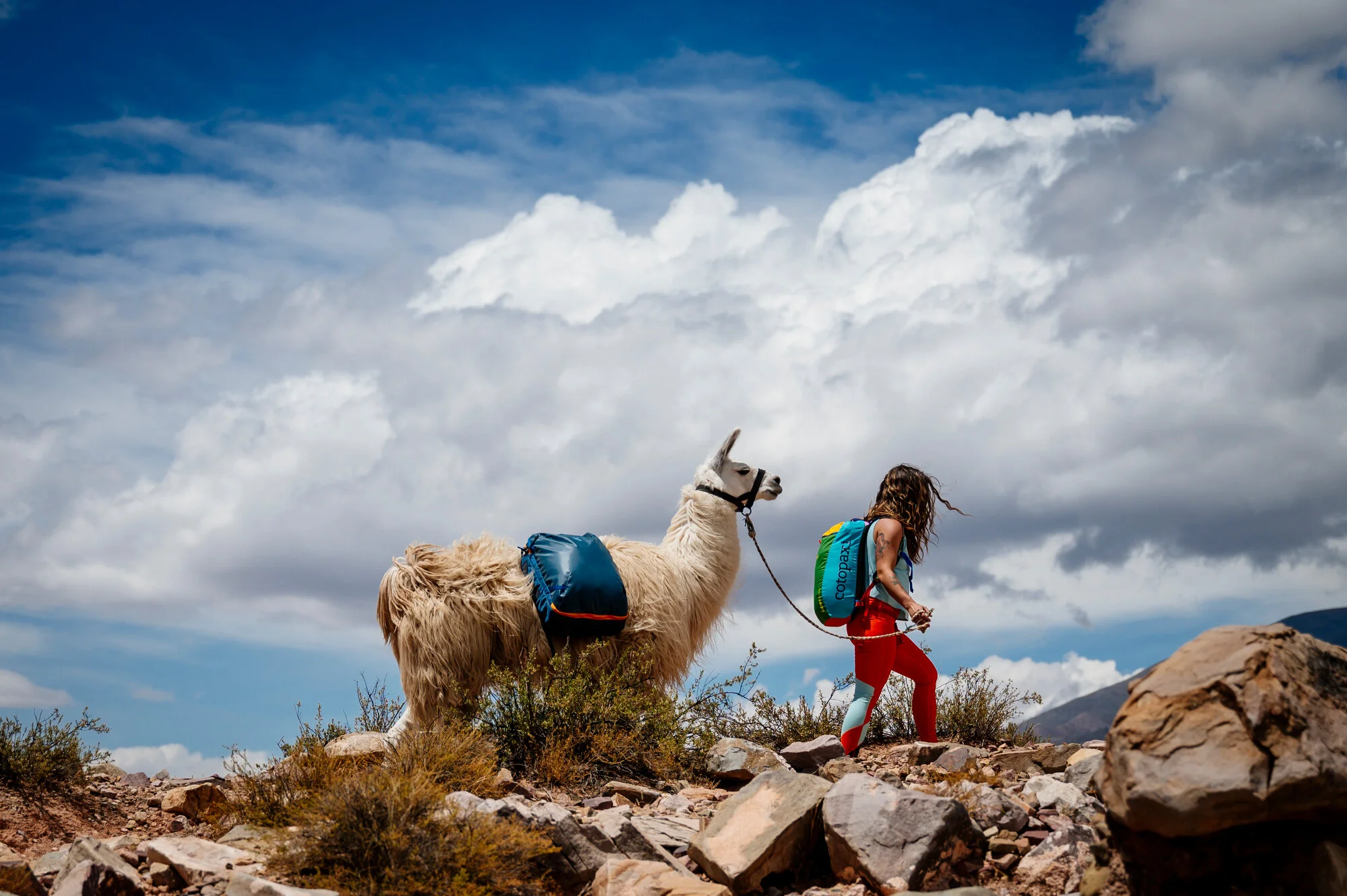 Projects — James Roh