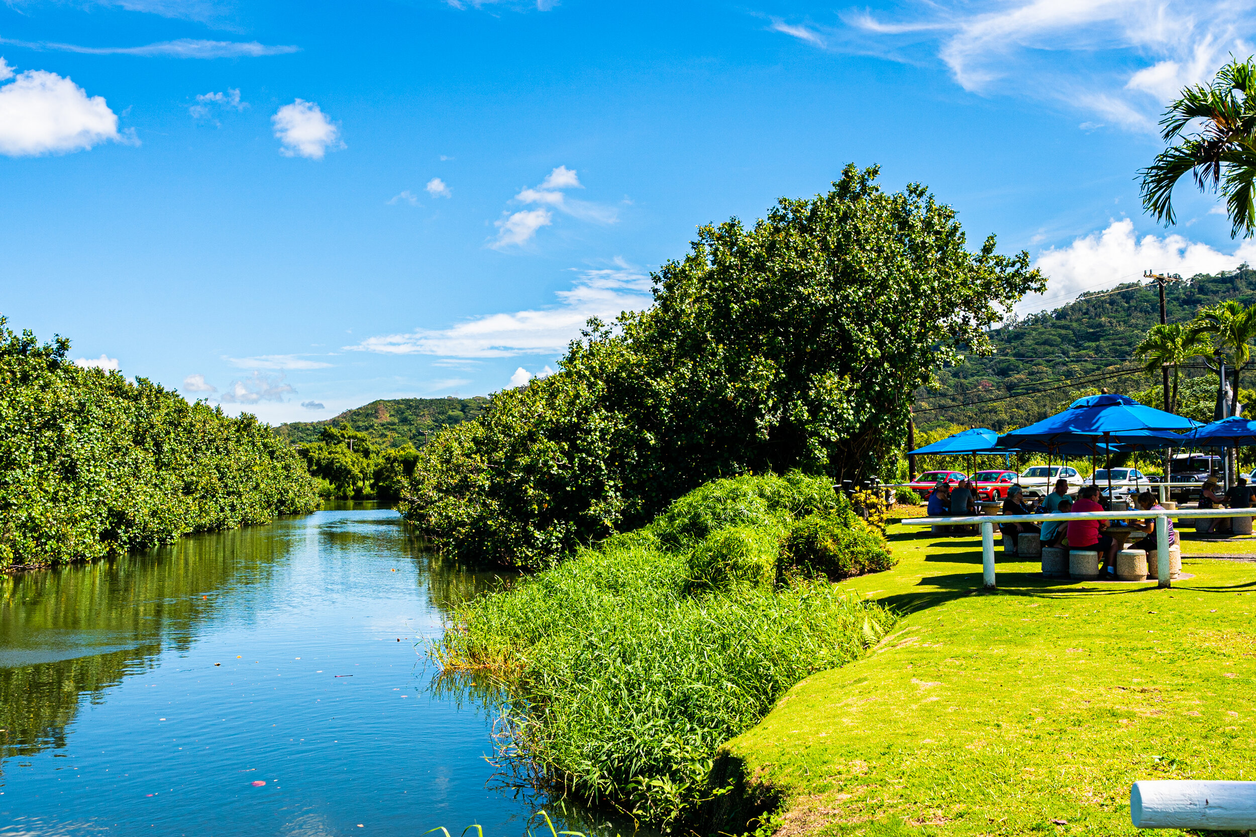 Hanalei River for SUP and Kayak