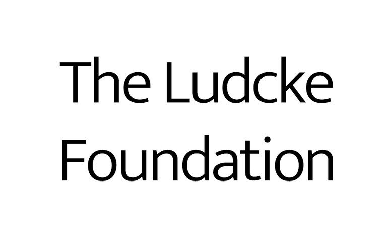 Ludcke Foundation Logo.png