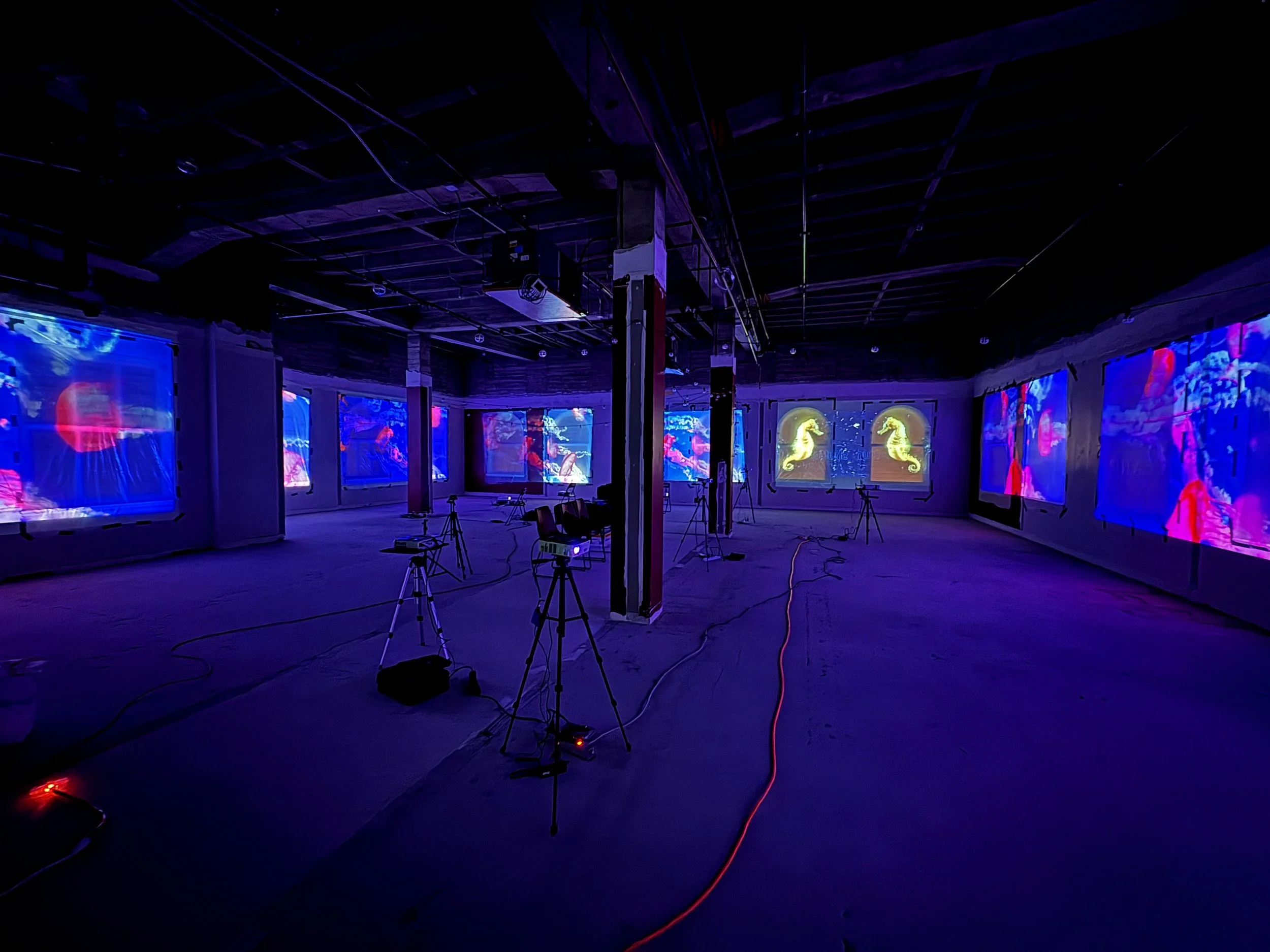 06 PWLF GrandProjections (20).JPG