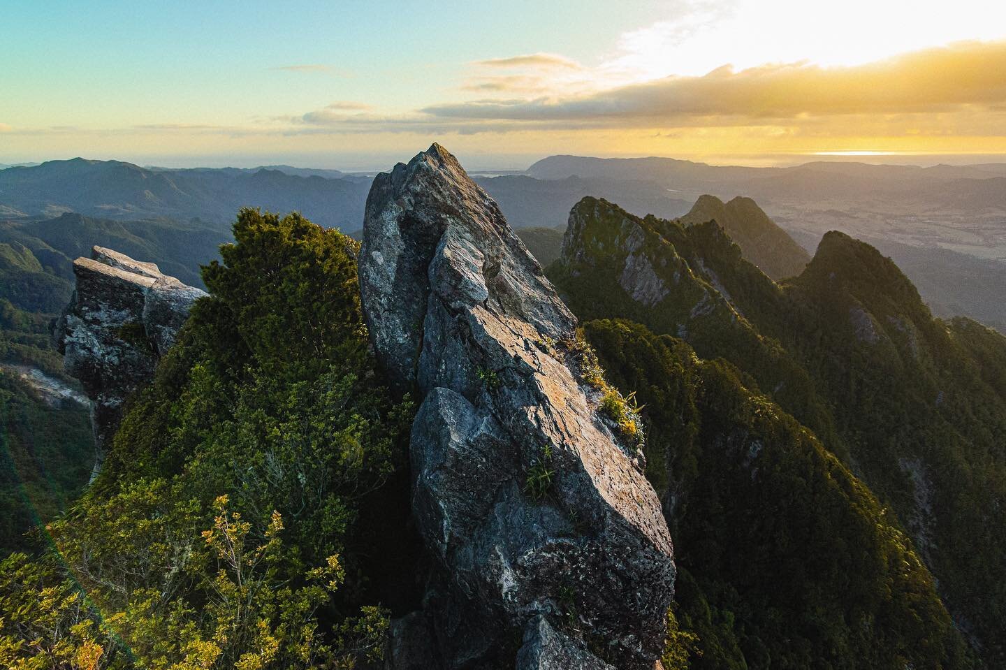 Sunrise from above the world. One of the most spectacular places I've managed to climb to. This is the summit of pinnacles at the top of the Kauaeranga Valley.
.
.
.
.
.
@purenewzealand @thecoromandel @landscape_photography_nz @landscapesnz #thepinna