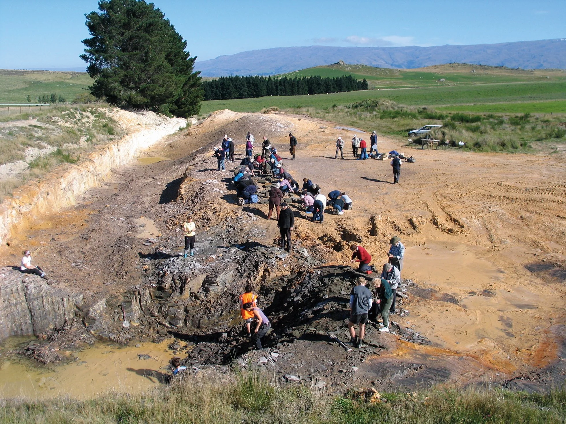 Fossil Treasures of Foulden Maar A window into Miocene Zealandia