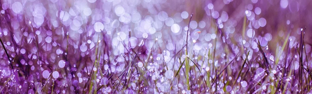Rooms — Violet Hill Studios - Centre For Healing Arts