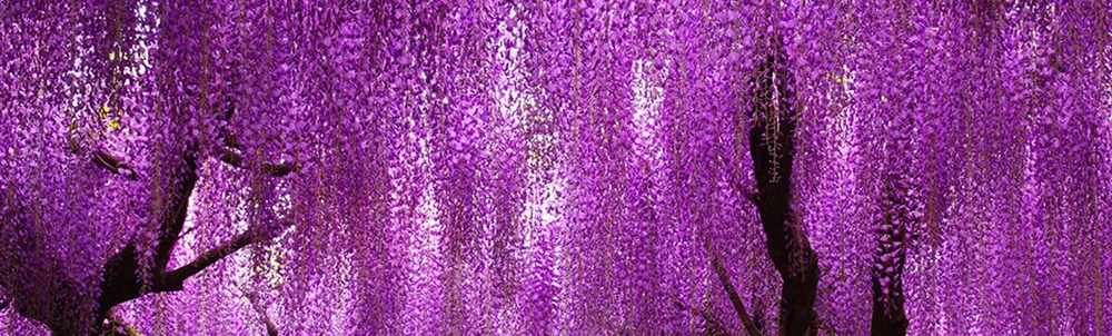 Violet Hill Designs/Shop — Violet Hill Studios - Centre For Healing Arts